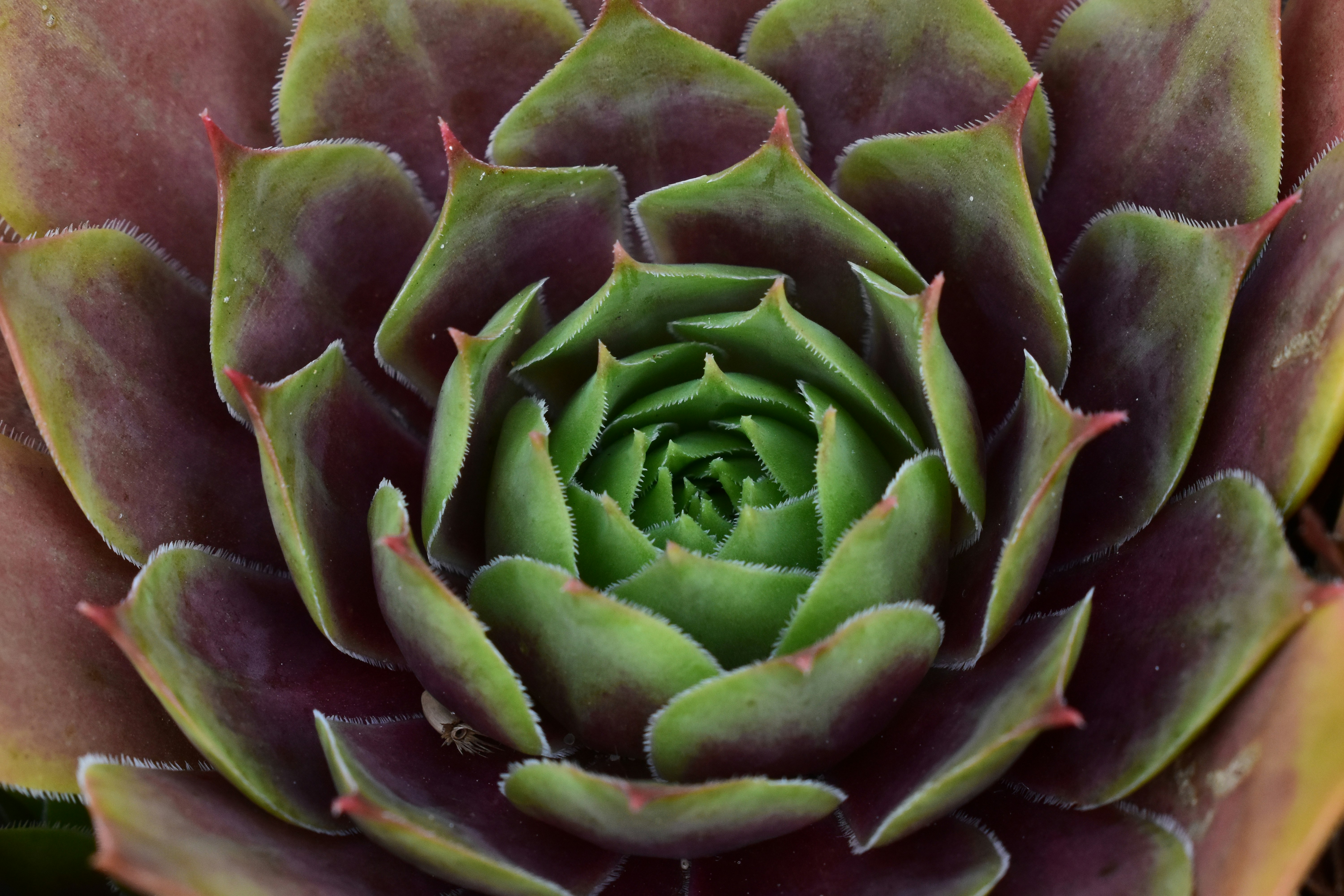 Photo by welcometojo_