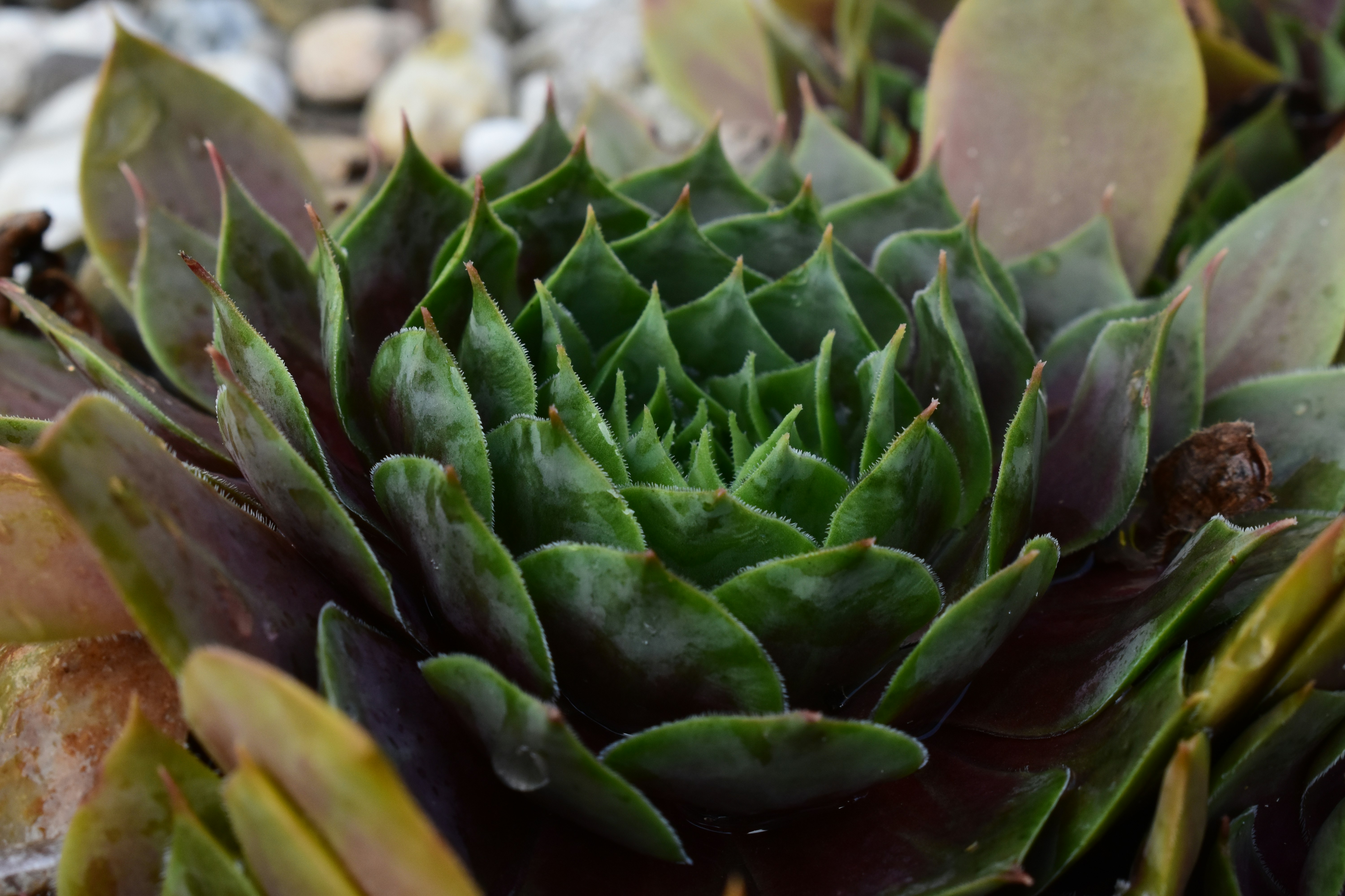 Photo by welcometojo_