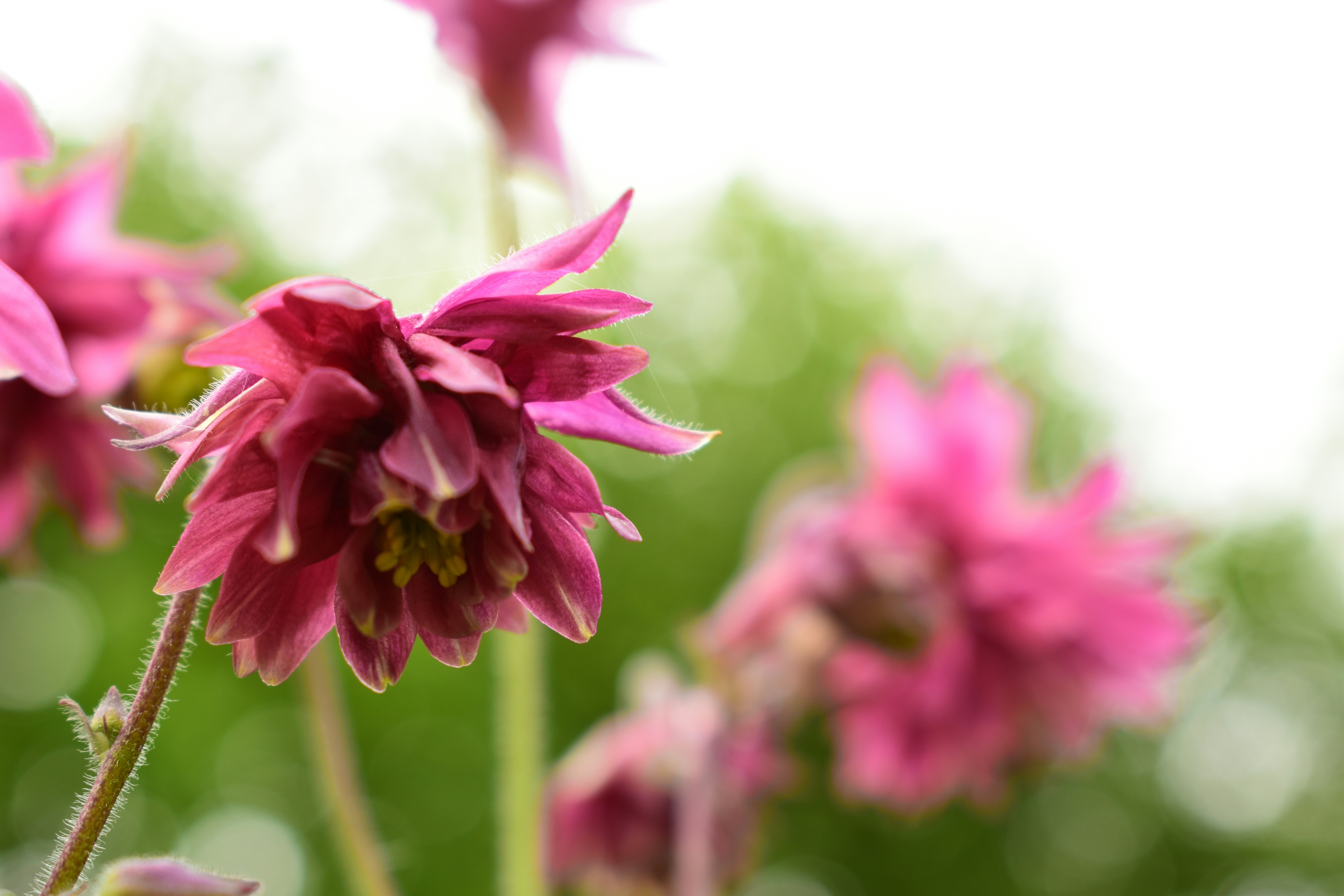 Photo by welcometojo_