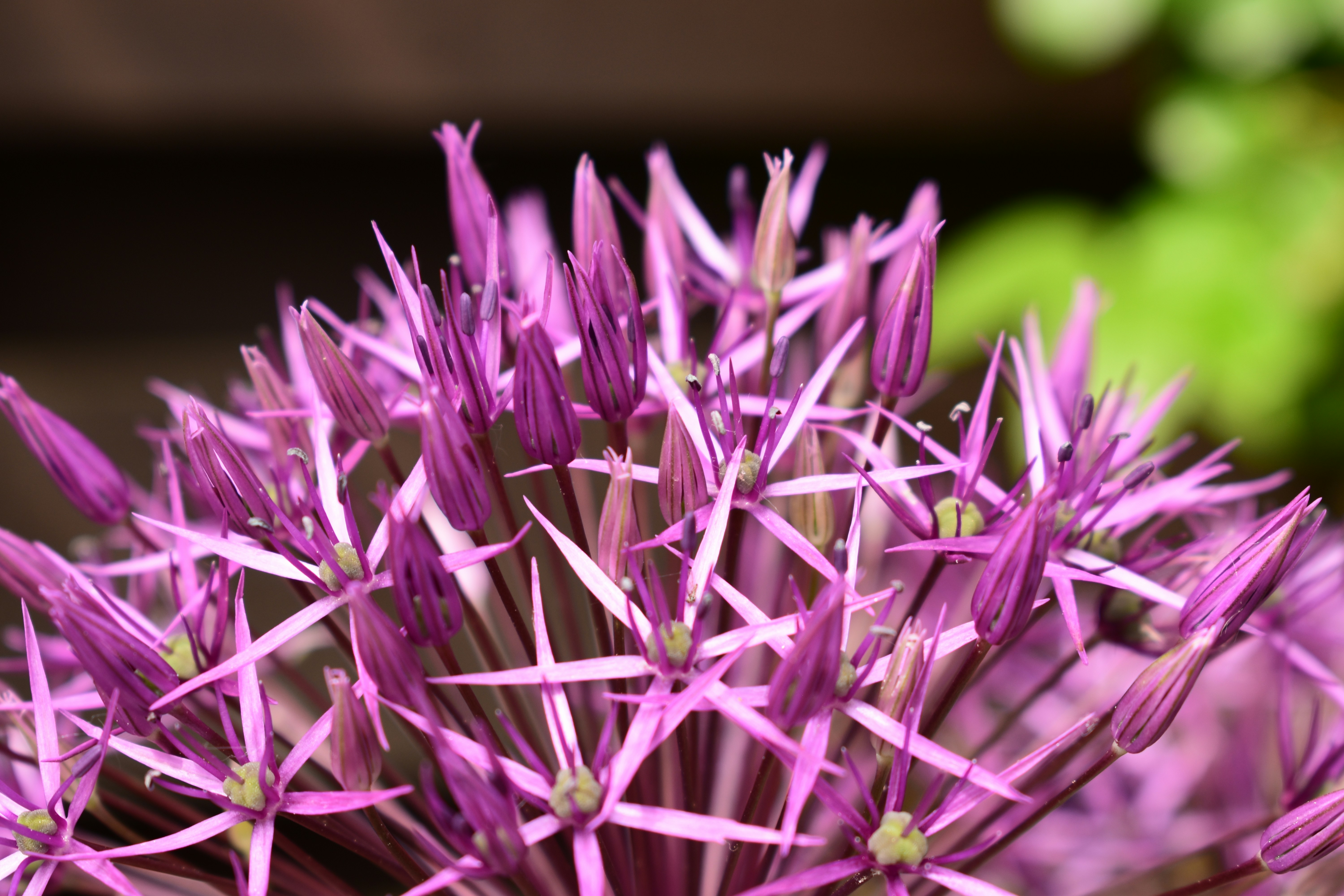 Photo by welcometojo_