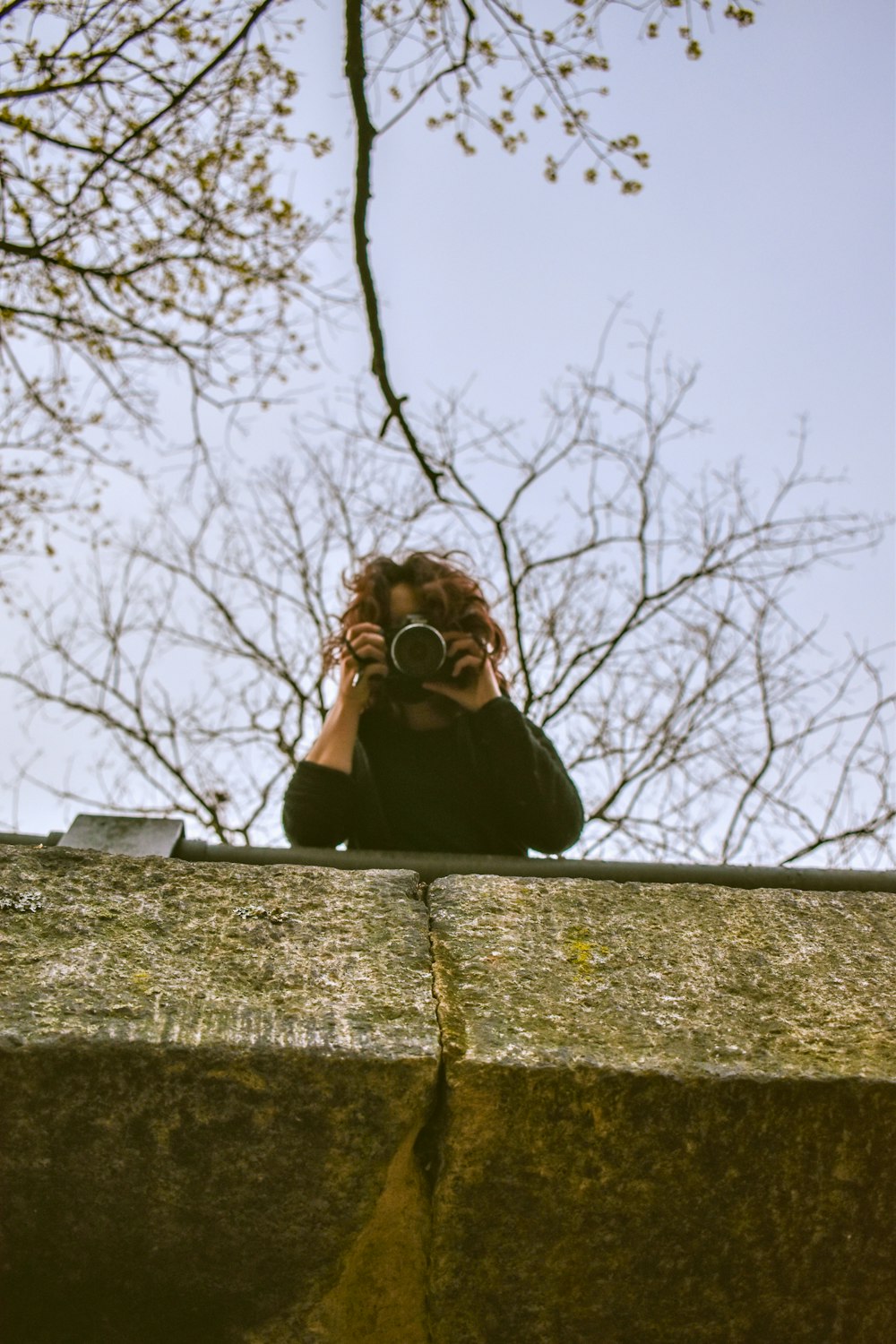 a person taking a picture of a tree