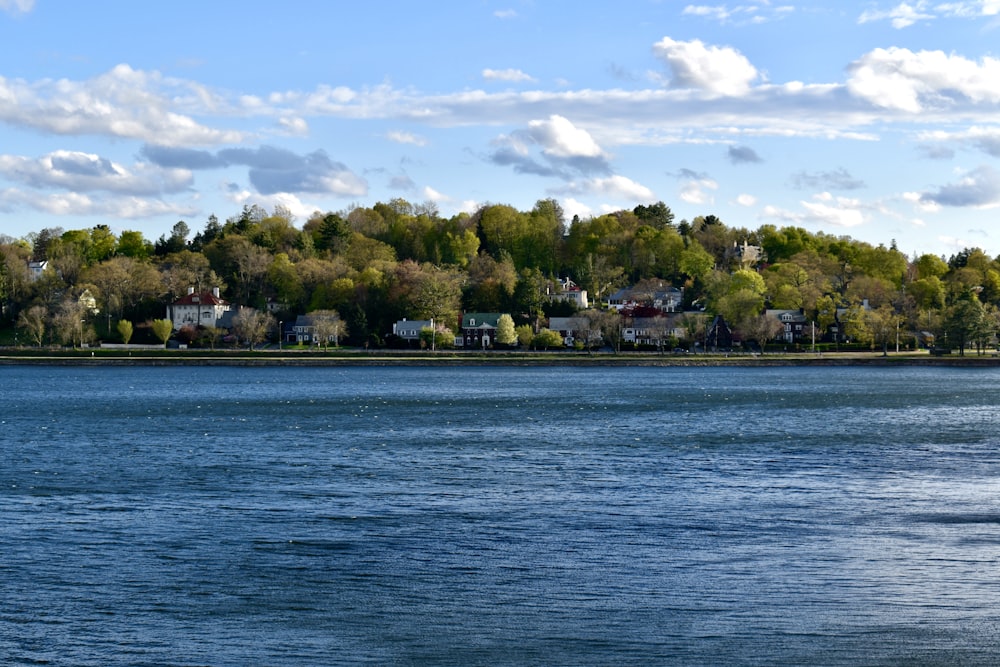 a body of water with trees and houses in the background