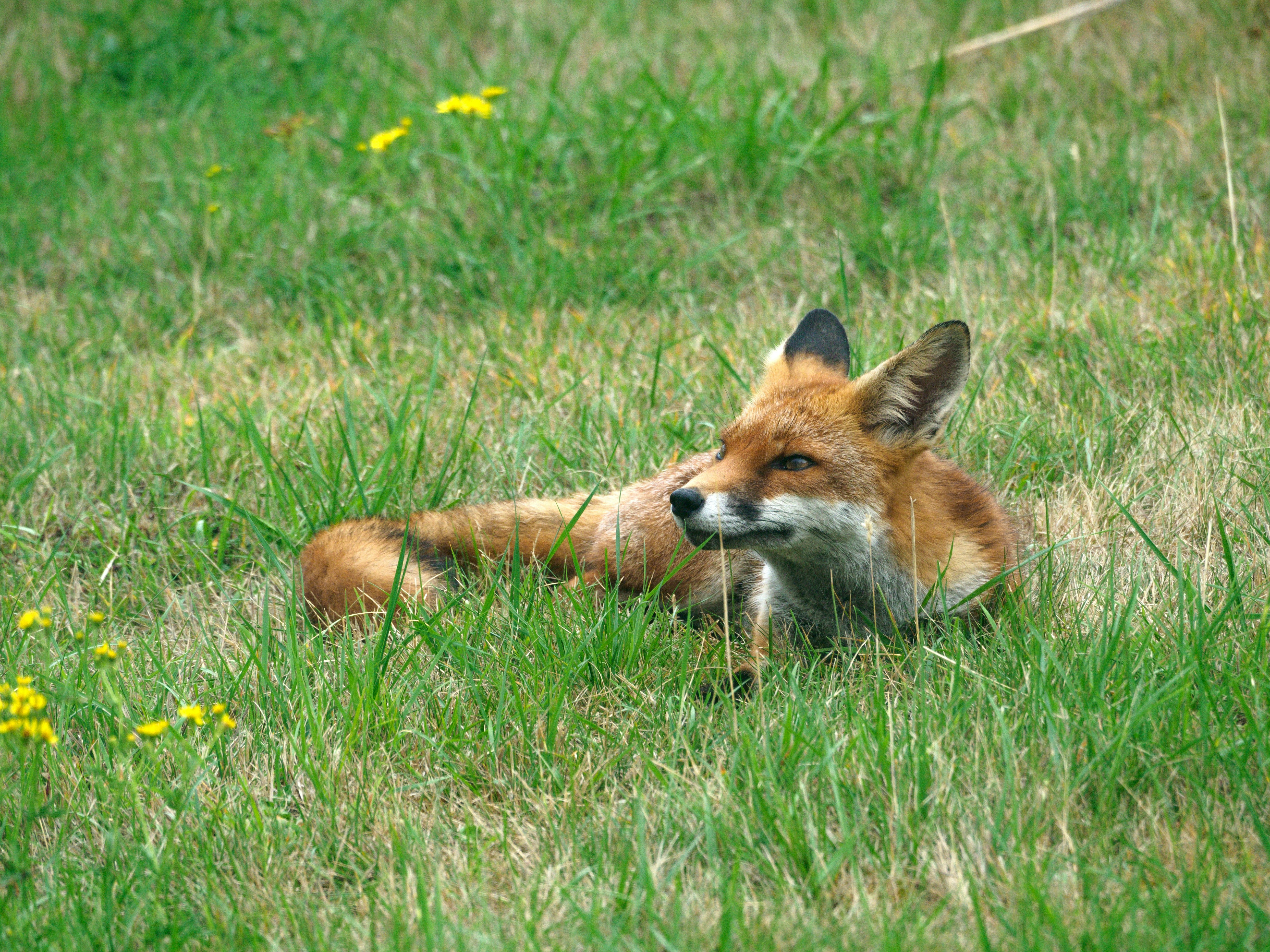 Photo by brett_jordan