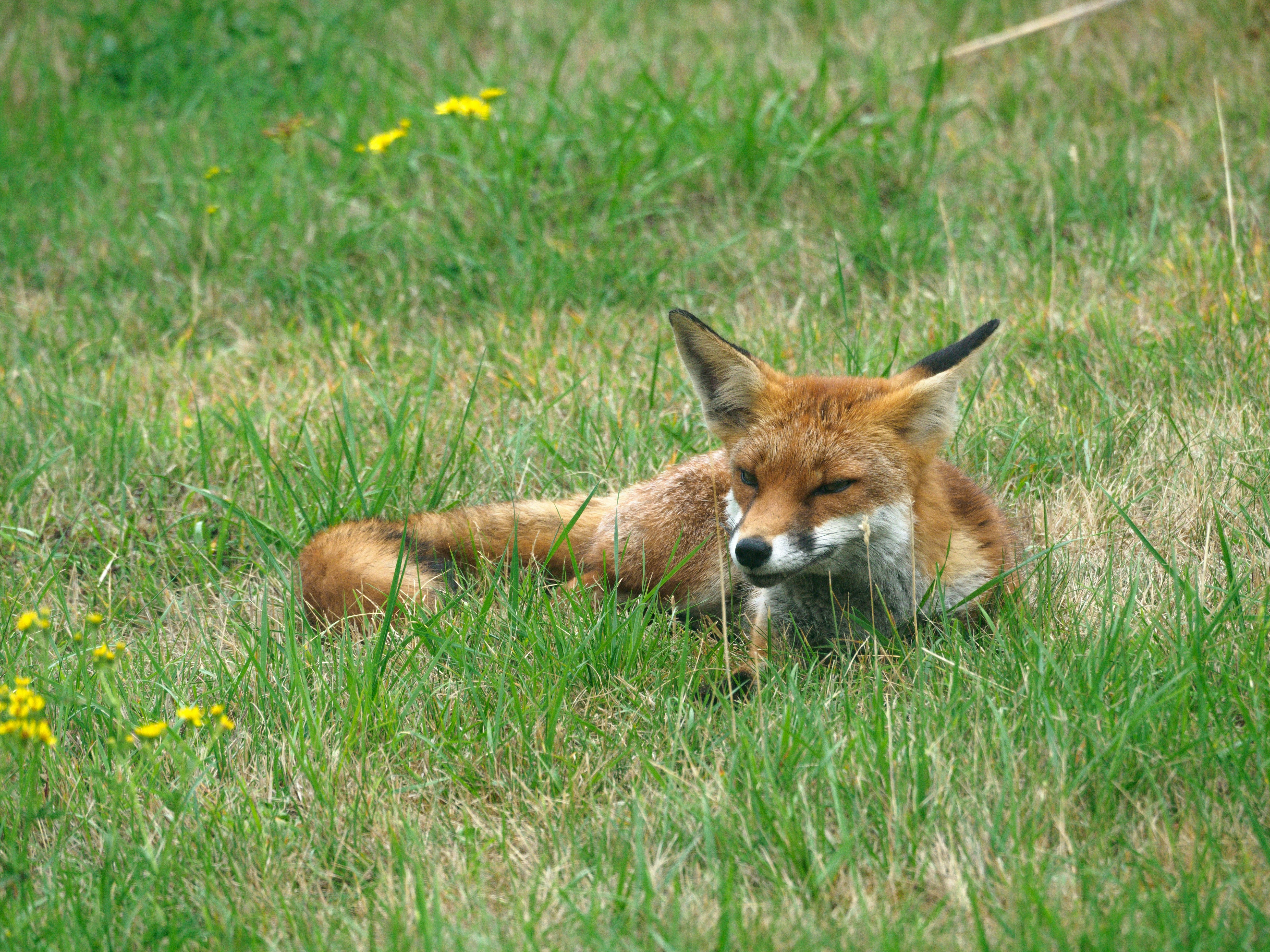 Photo by brett_jordan