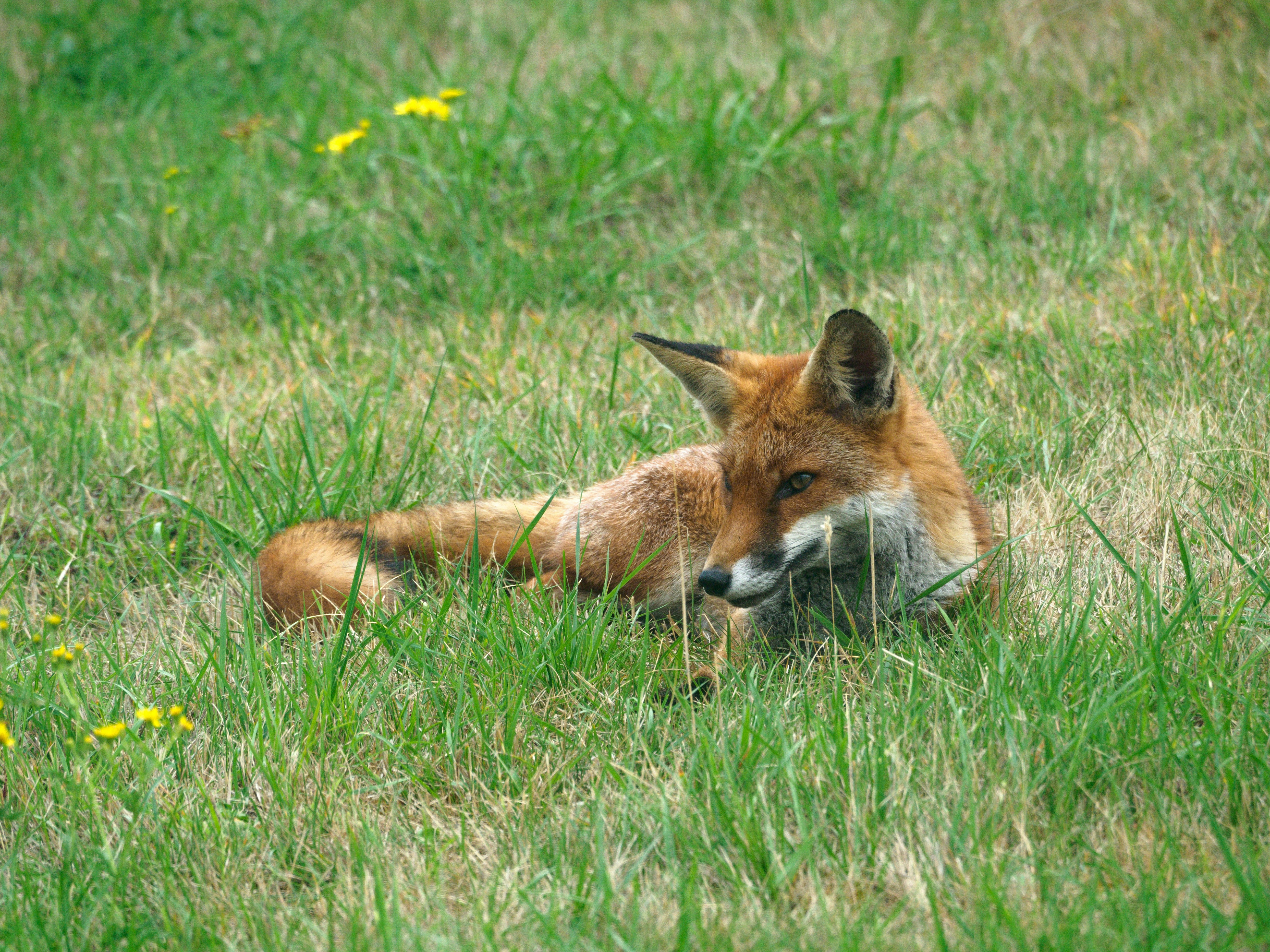 Photo by brett_jordan