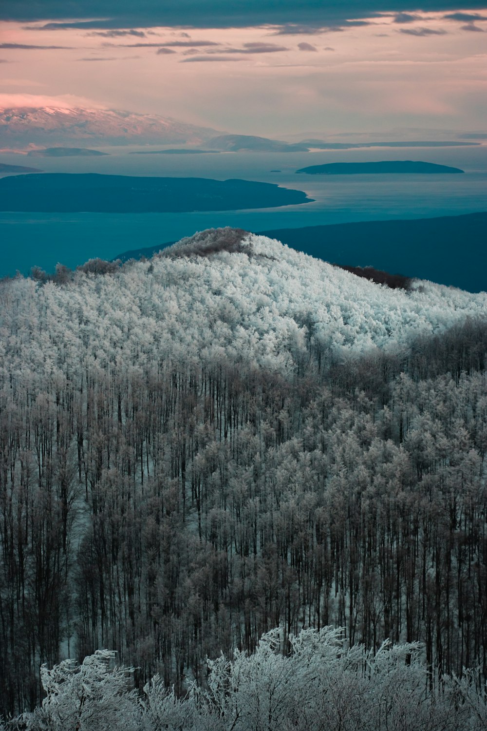 a snowy mountain with trees