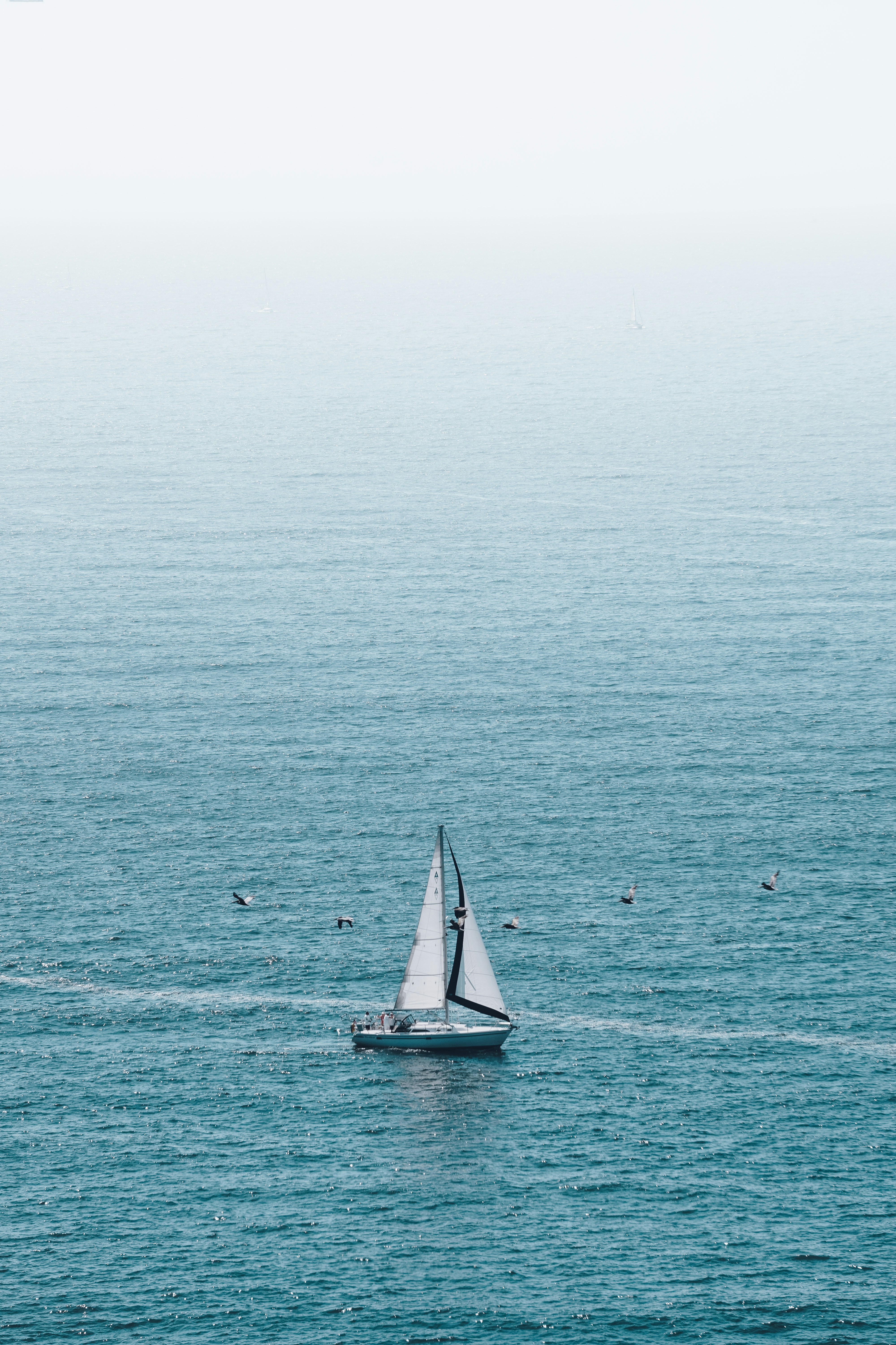 Photo by ja_domenech