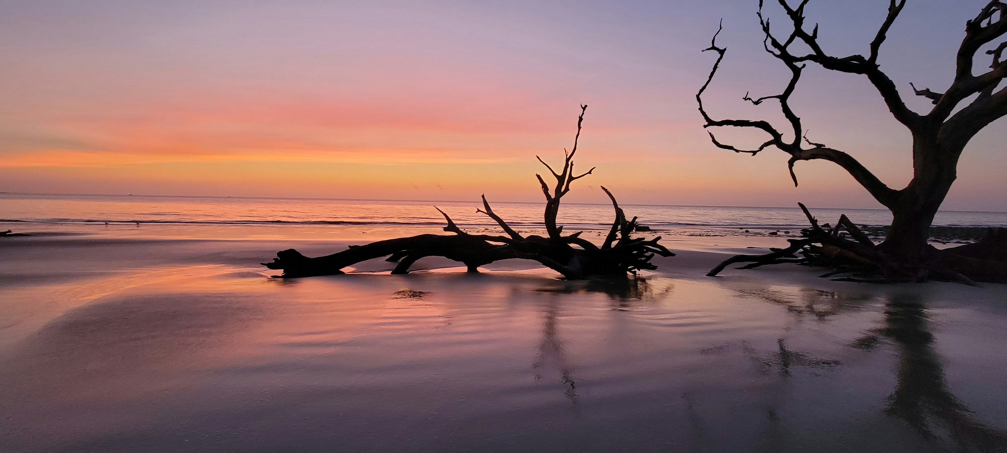 Photo by surfergrl