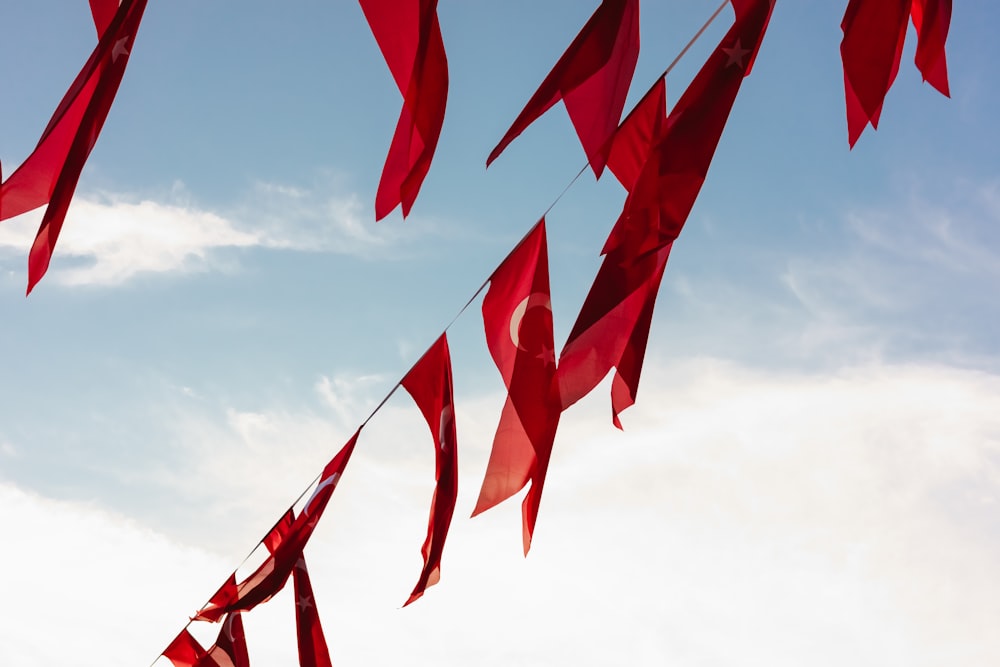 Un groupe de drapeaux rouges