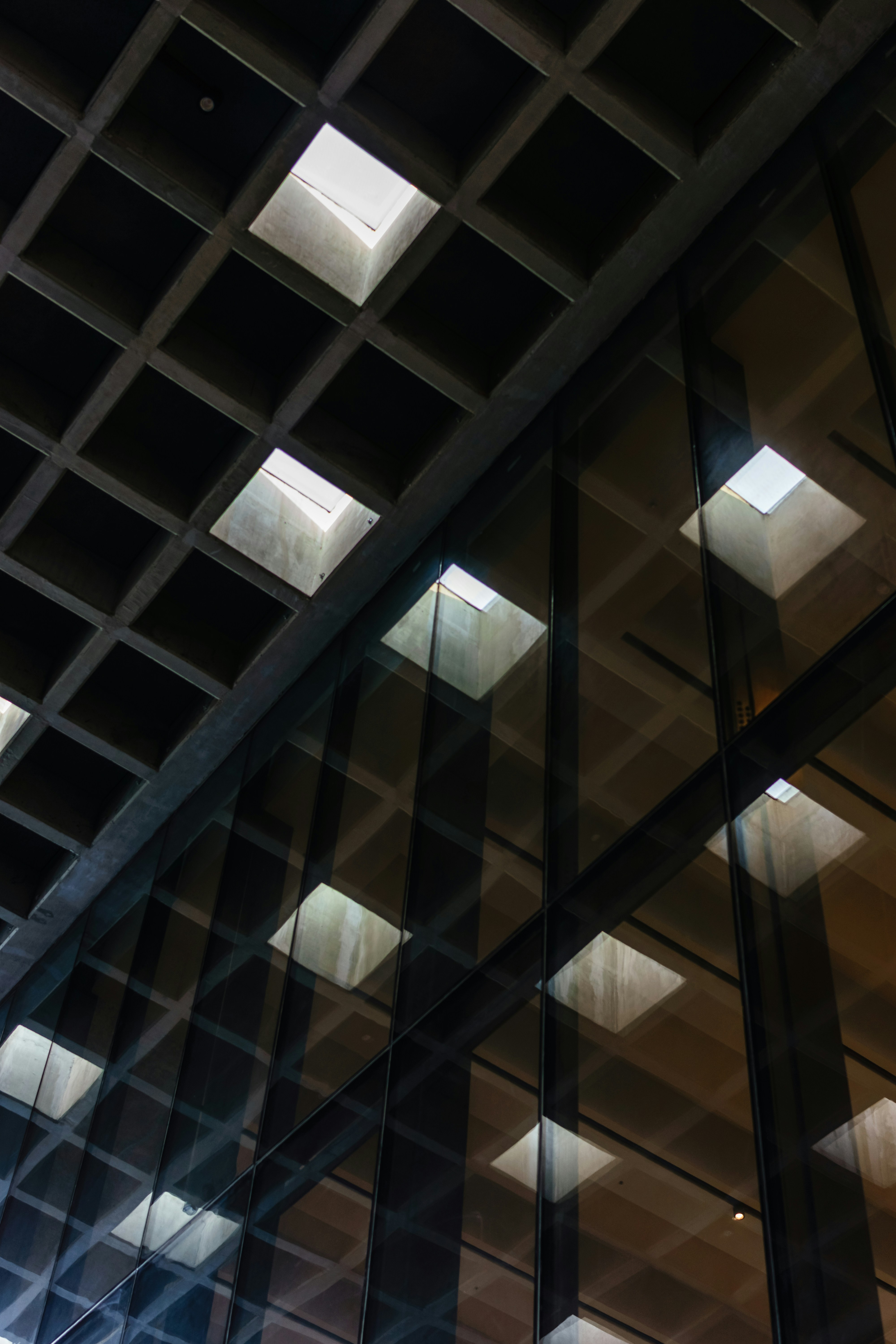 Photo by igorharrier