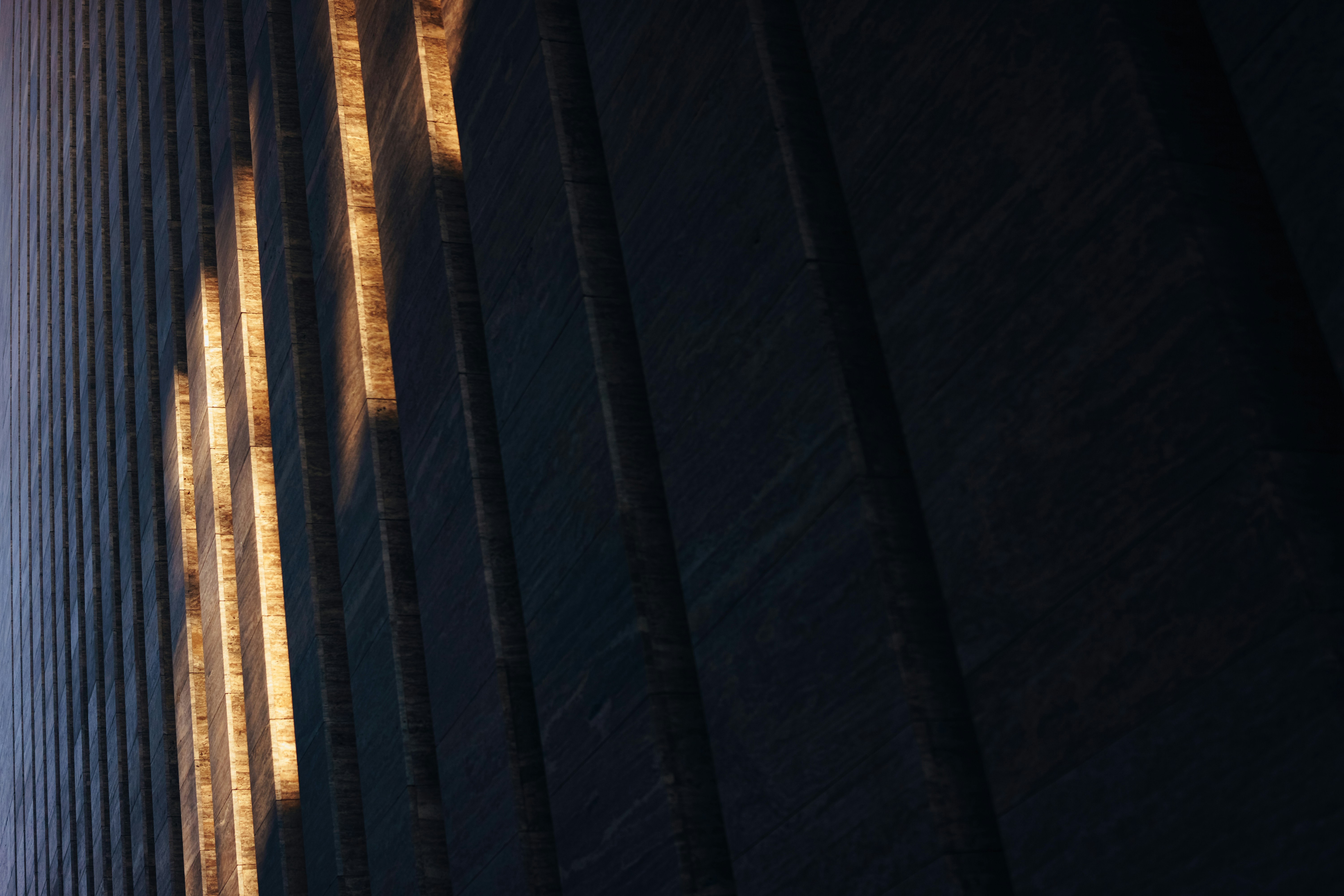 Photo by igorharrier