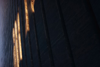 Architectural detail of a corporate building highlighted by precise linear LED illumination.