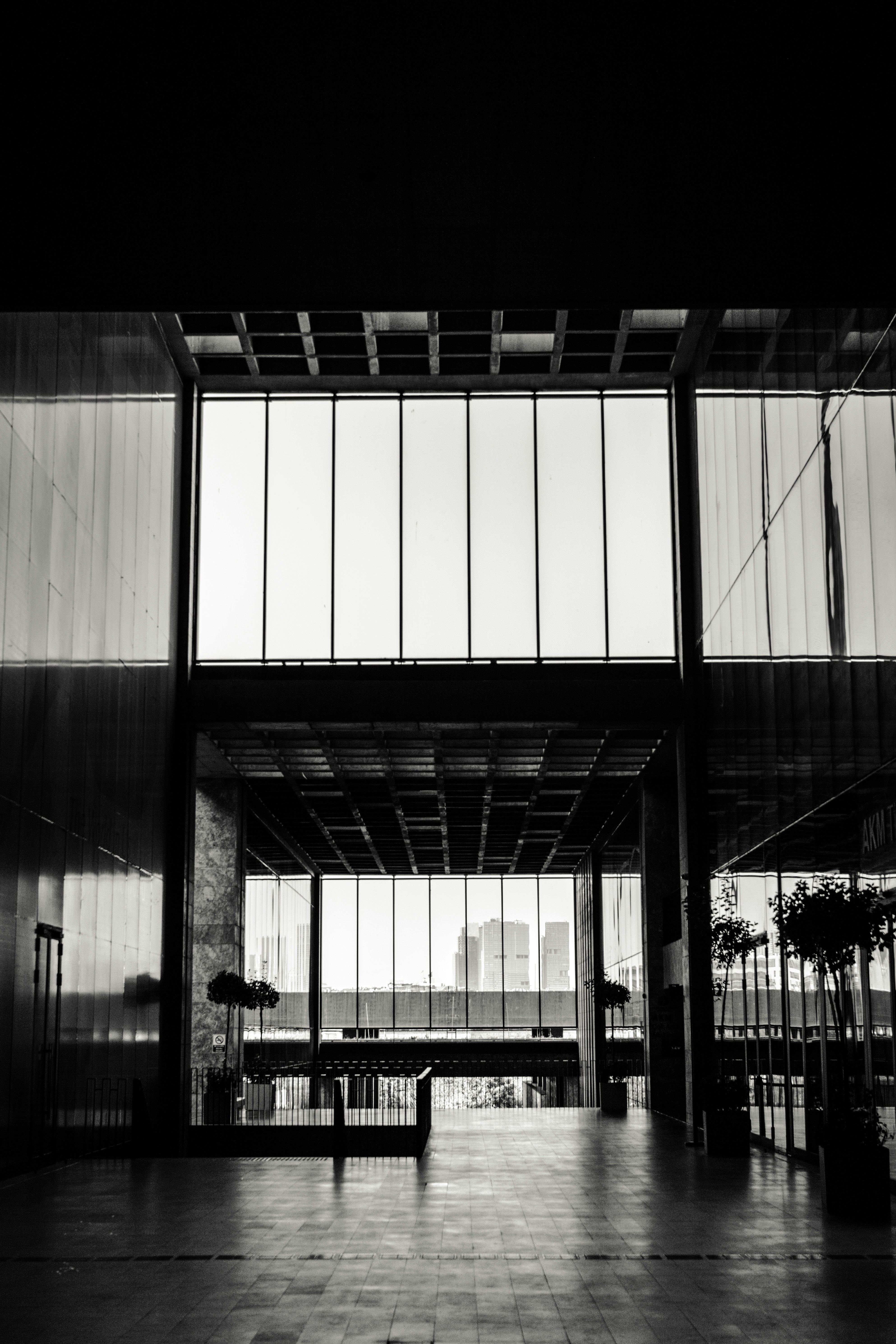 Photo by igorharrier