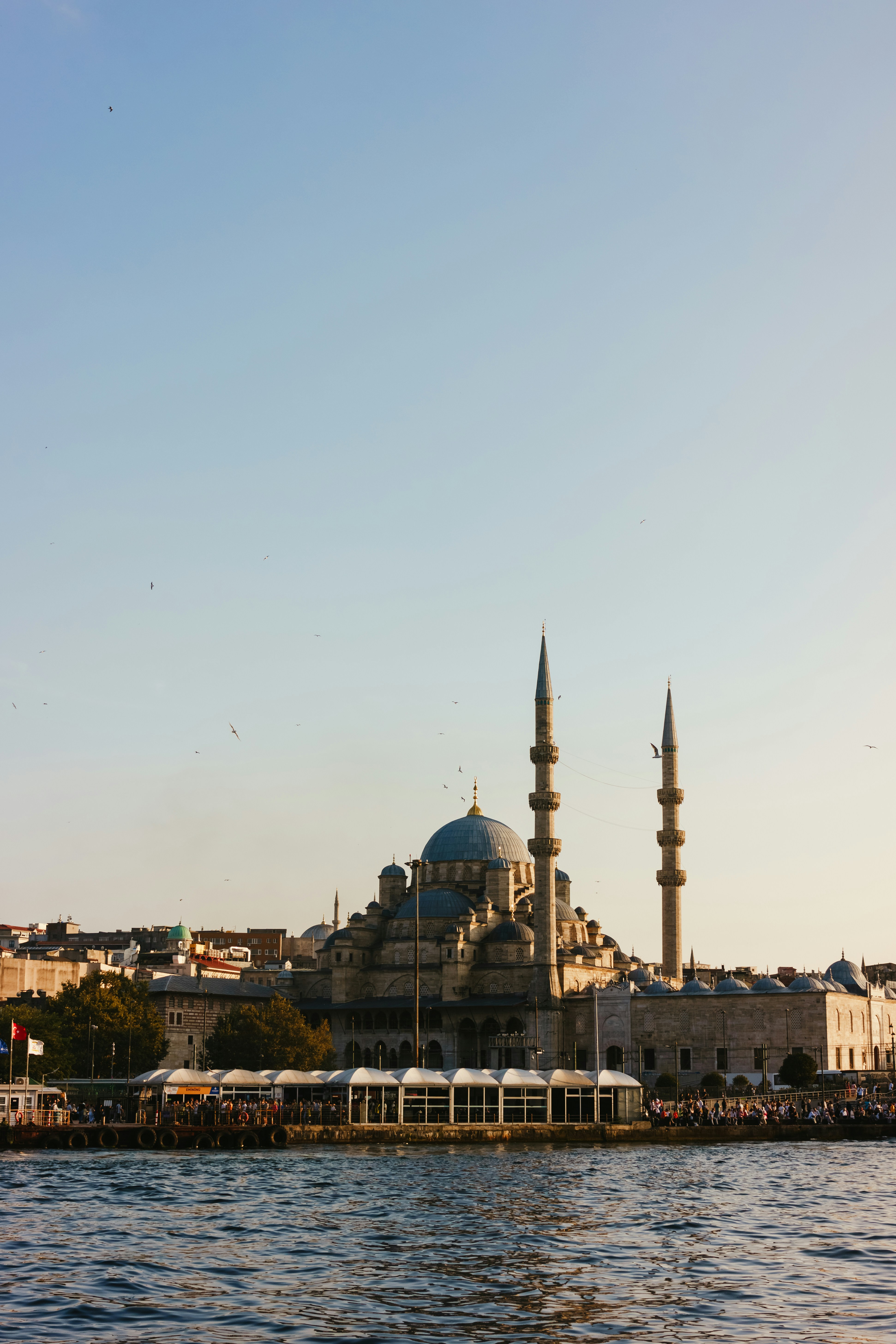 Photo by igorharrier