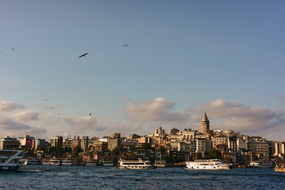 a city with boats and birds flying