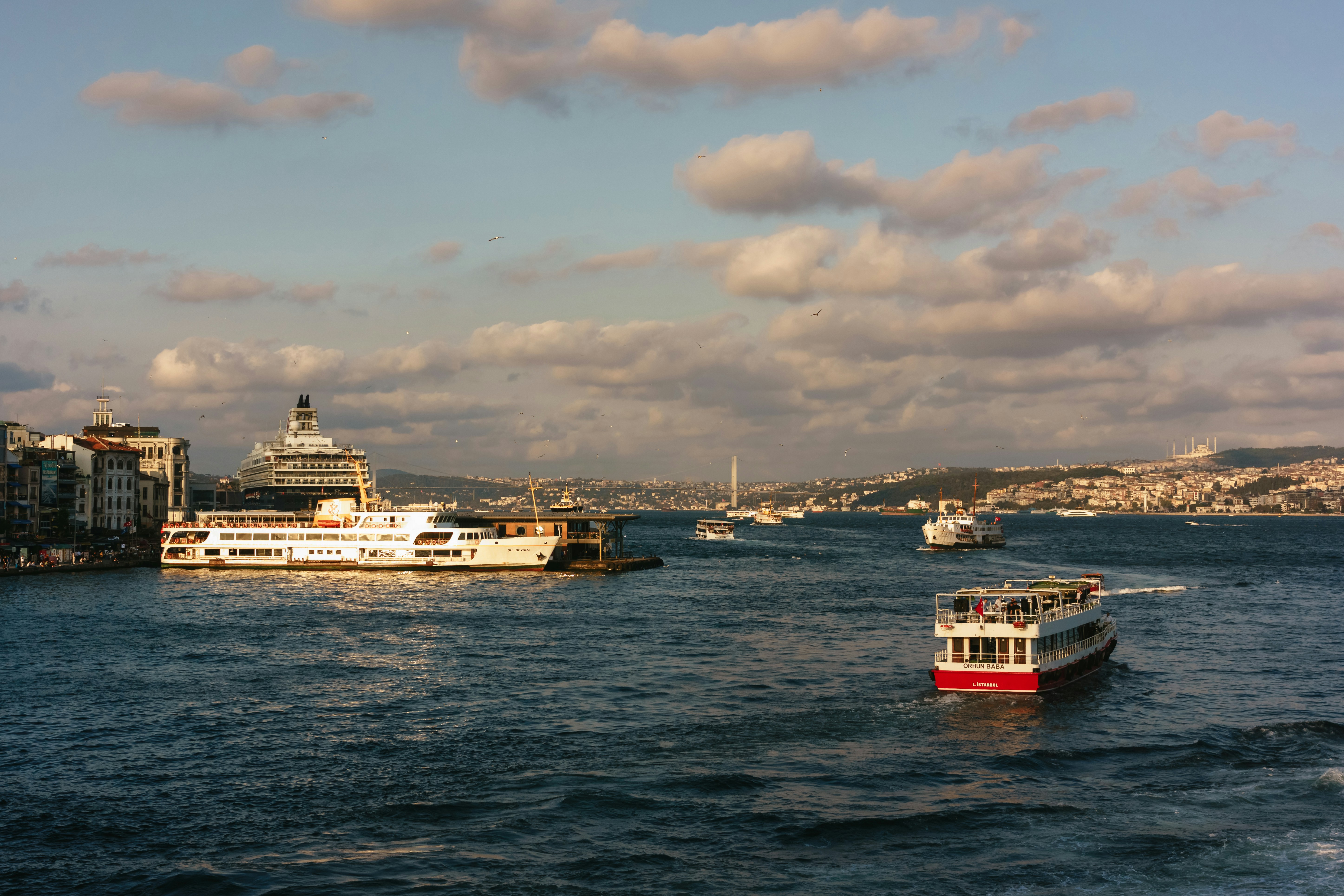 Photo by igorharrier