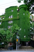 a building with ivy on it