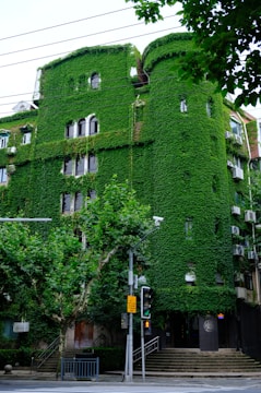 a building with ivy on it