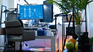 a desk with a computer and a plant on it