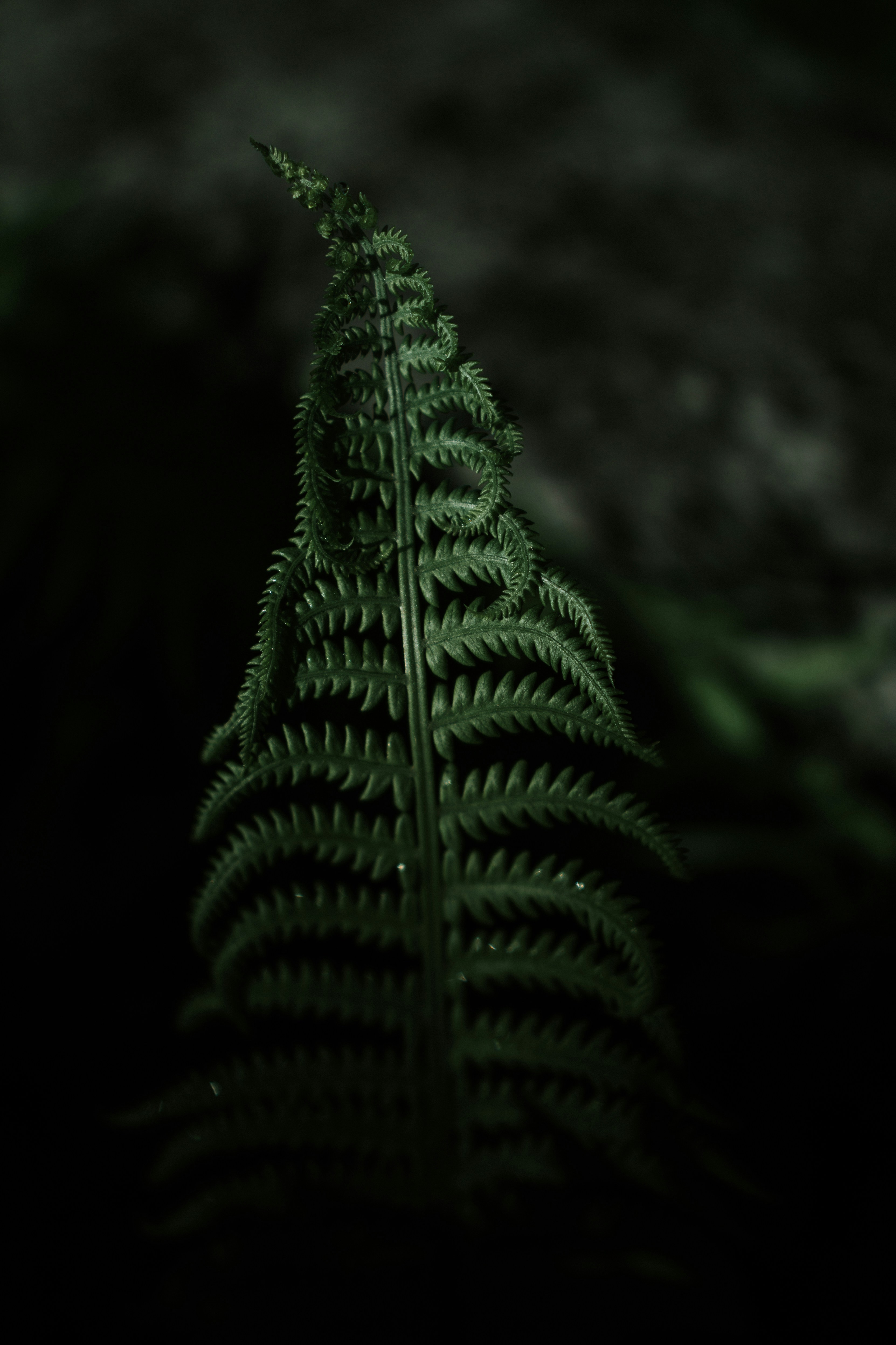 Living with an alcoholic