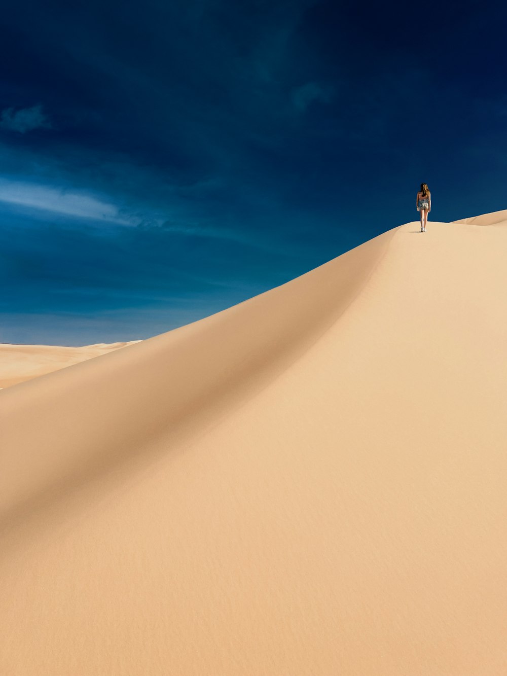 a person standing on a sand dune