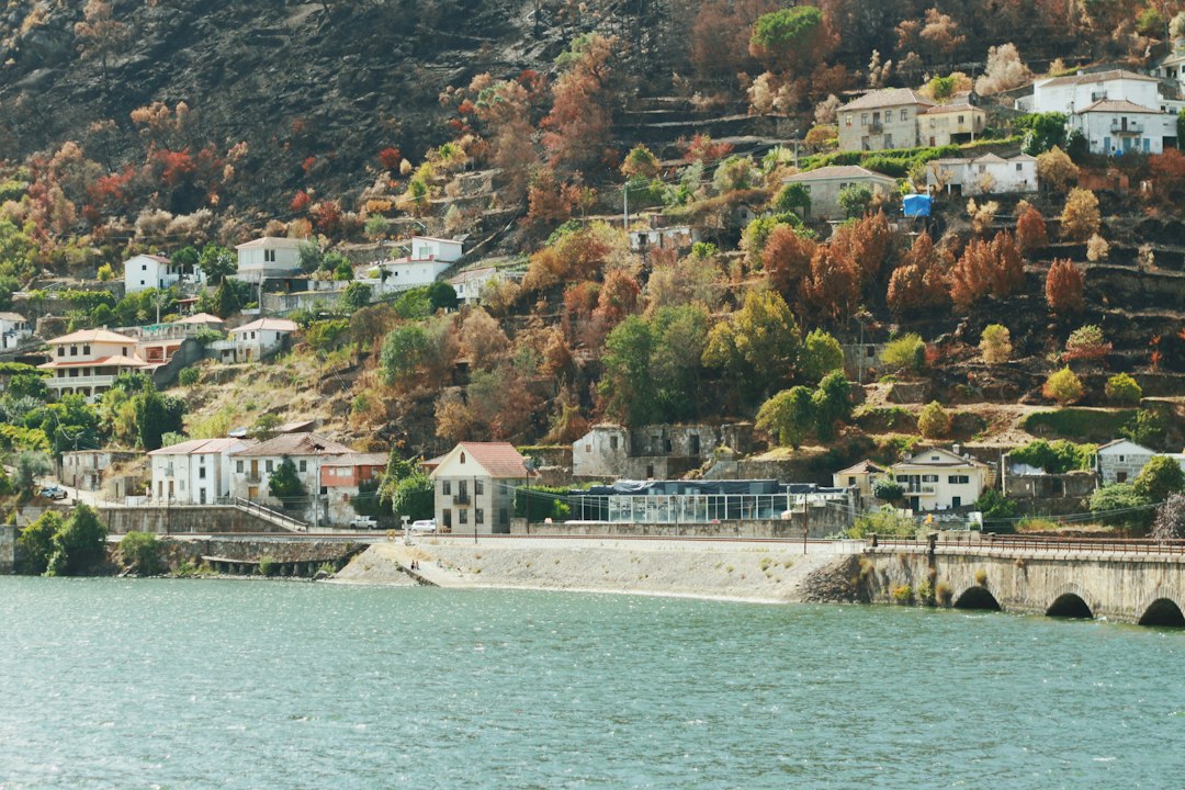 a town next to a river, train view