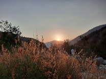 The image depicts a serene landscape with the sun setting behind distant mountains, casting a warm glow over the scene. In the foreground, dry grass and wildflowers catch the light, creating a contrast with the darker silhouettes of the hills. A figure can be seen walking along a path to the right, adding a sense of scale and tranquility.