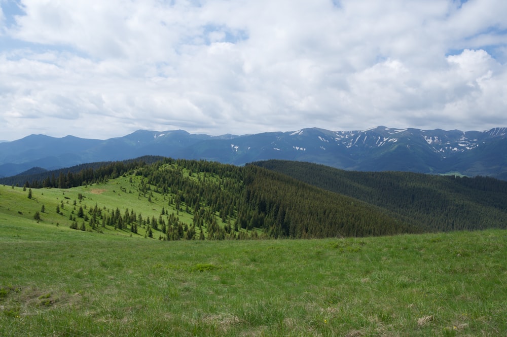 a grassy field with trees and mountains in the background