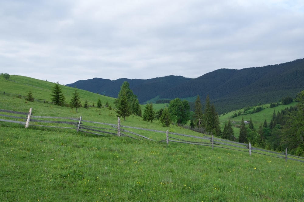 a fence in a field