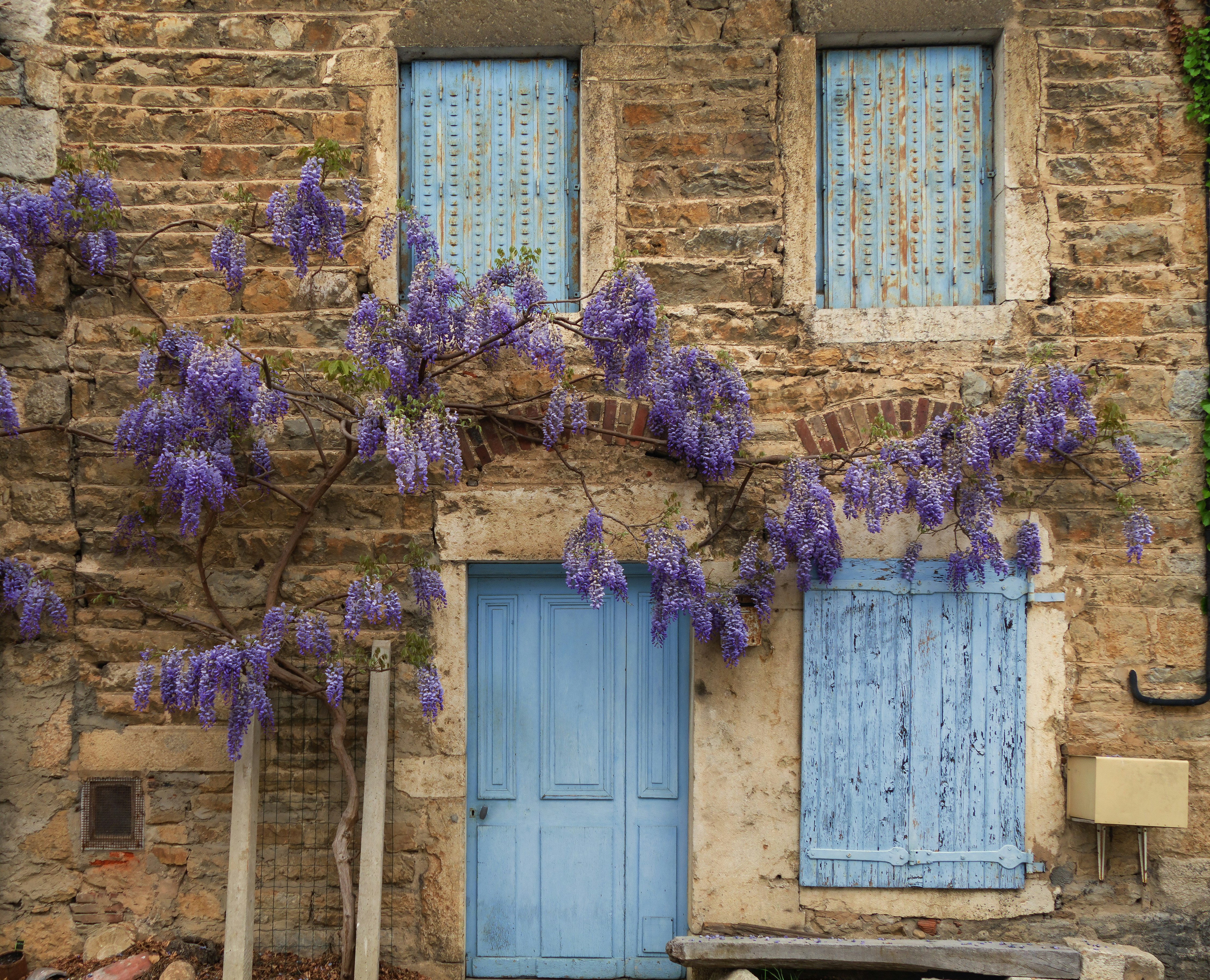 a building with purple flowers