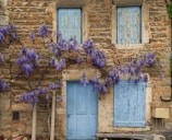 a building with purple flowers