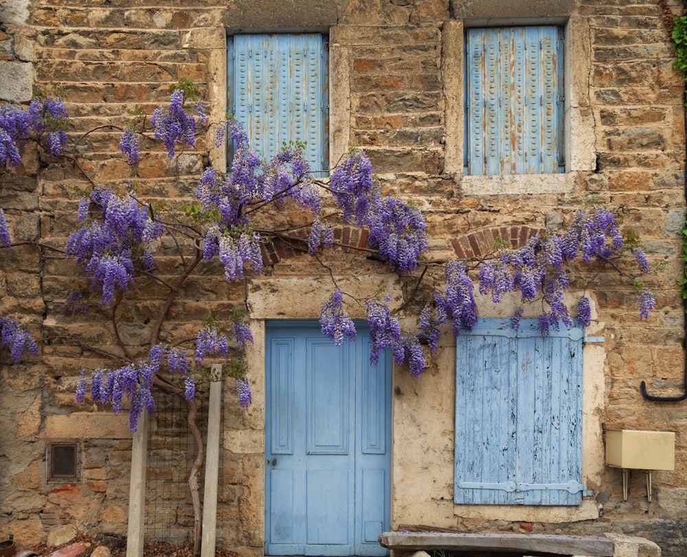a building with purple flowers