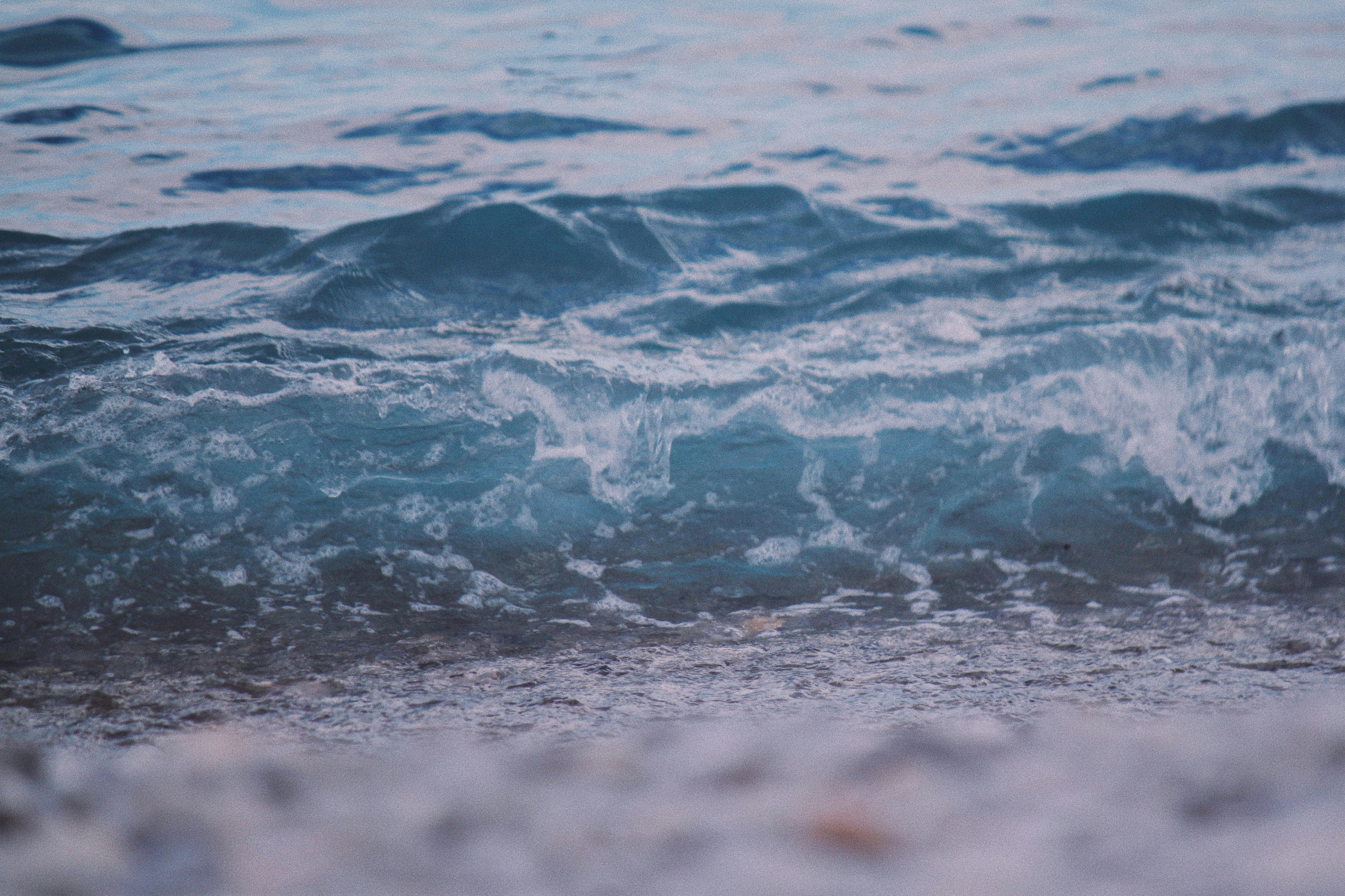 Photo by sesambrotchen