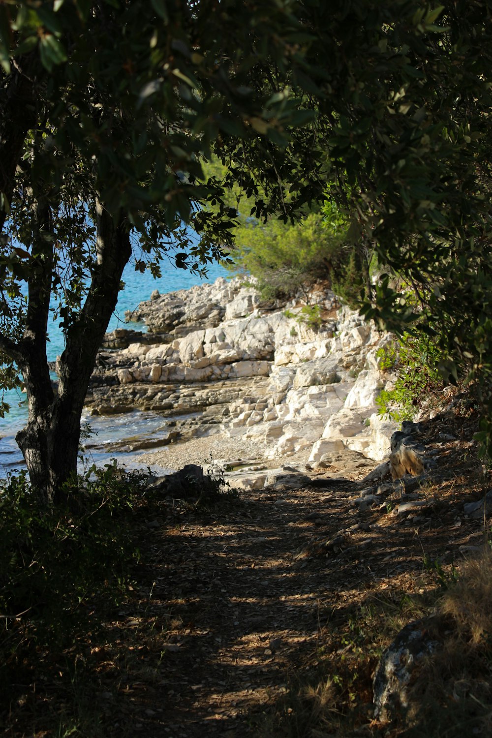 a stone wall with trees around it