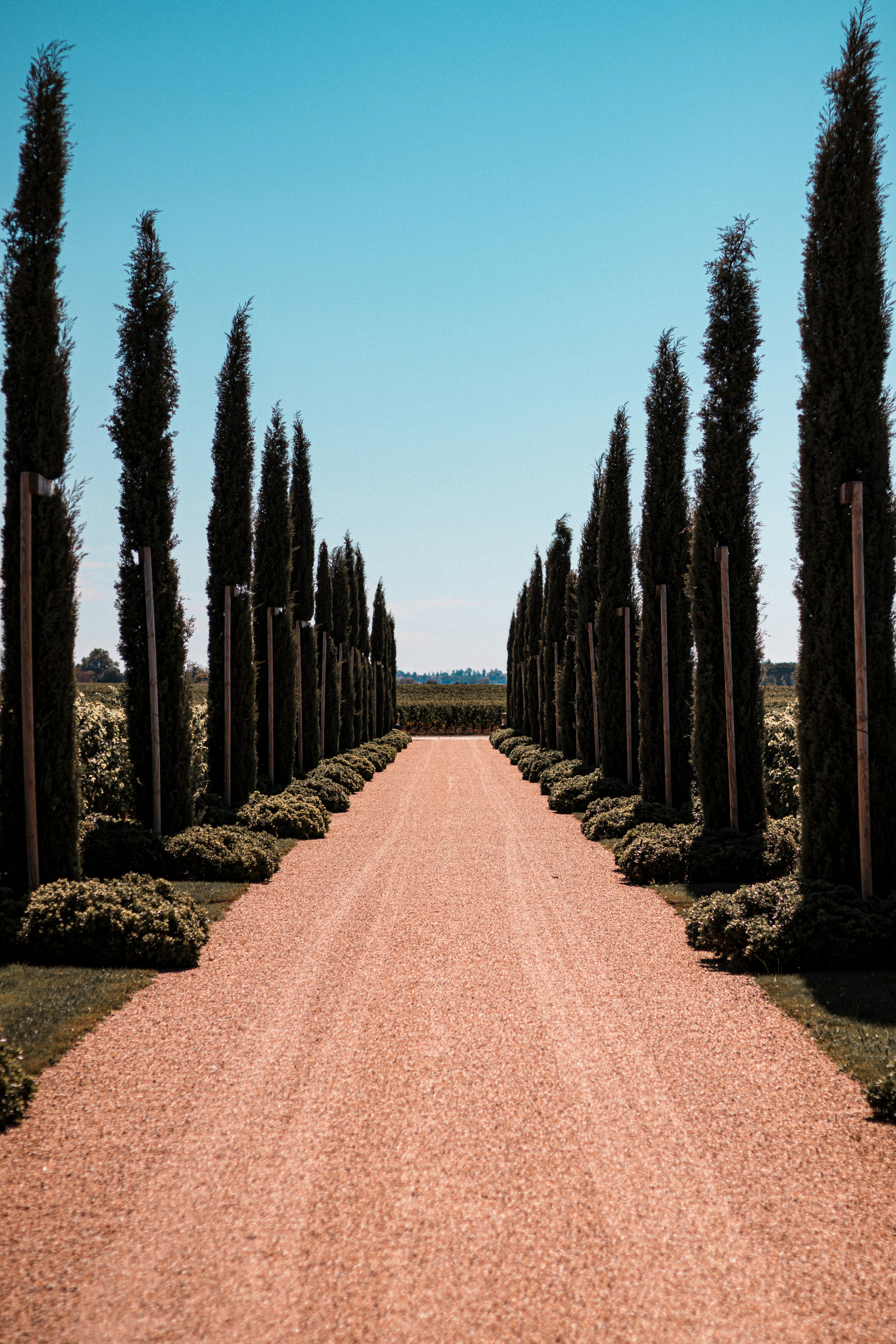 Photo by valentinlacoste