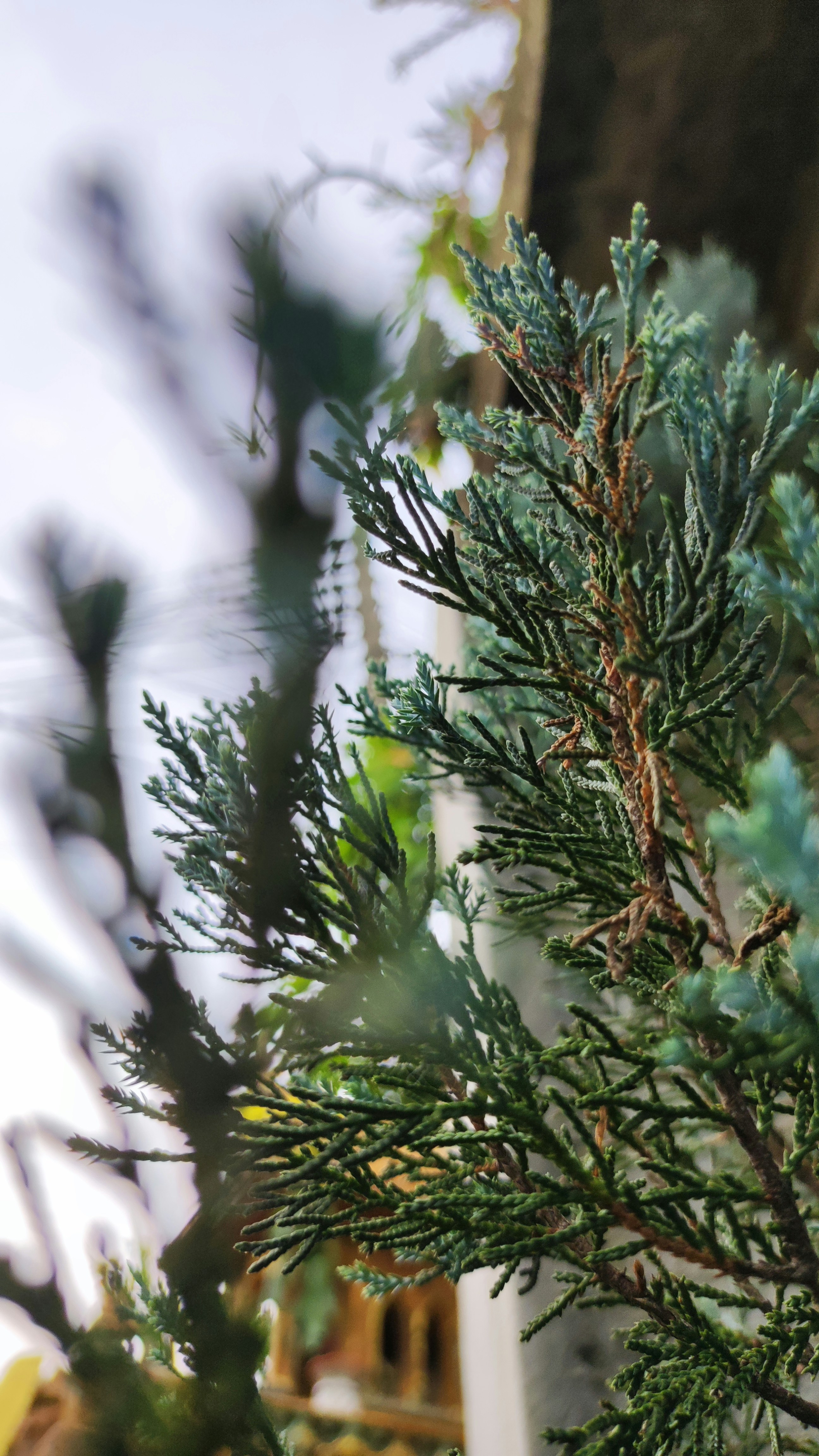 Photo by _thannathxx