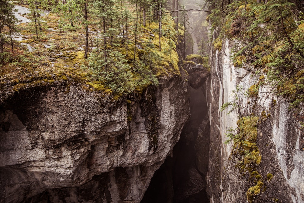 a large rock formation with trees around it