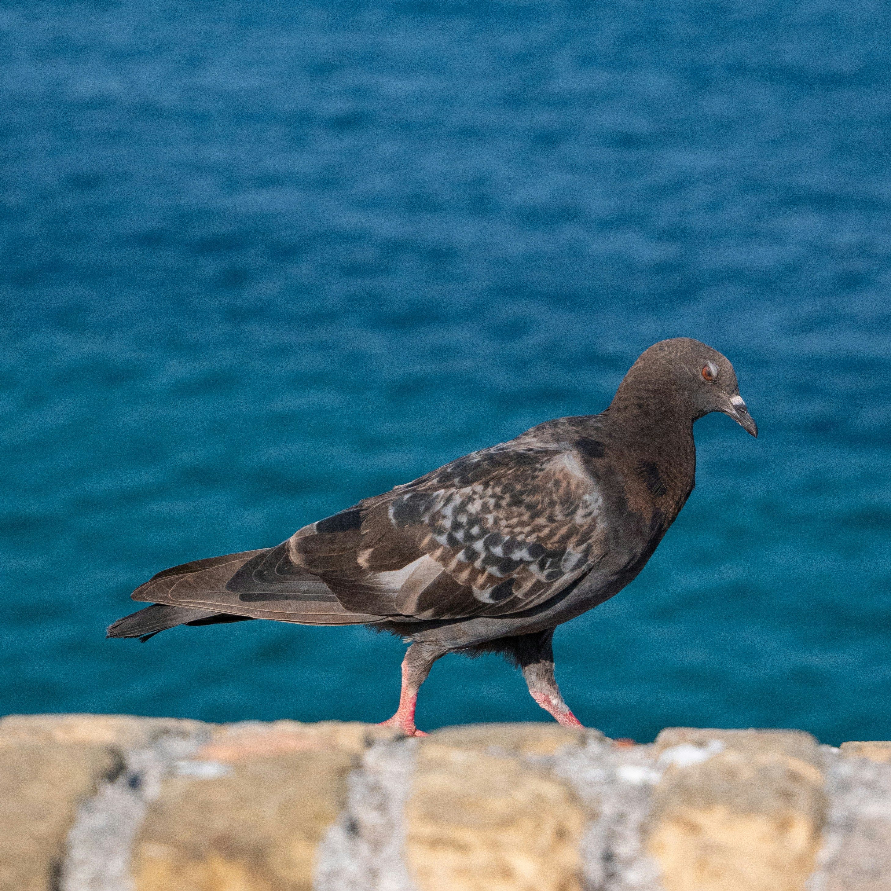 Photo by maevacatteau