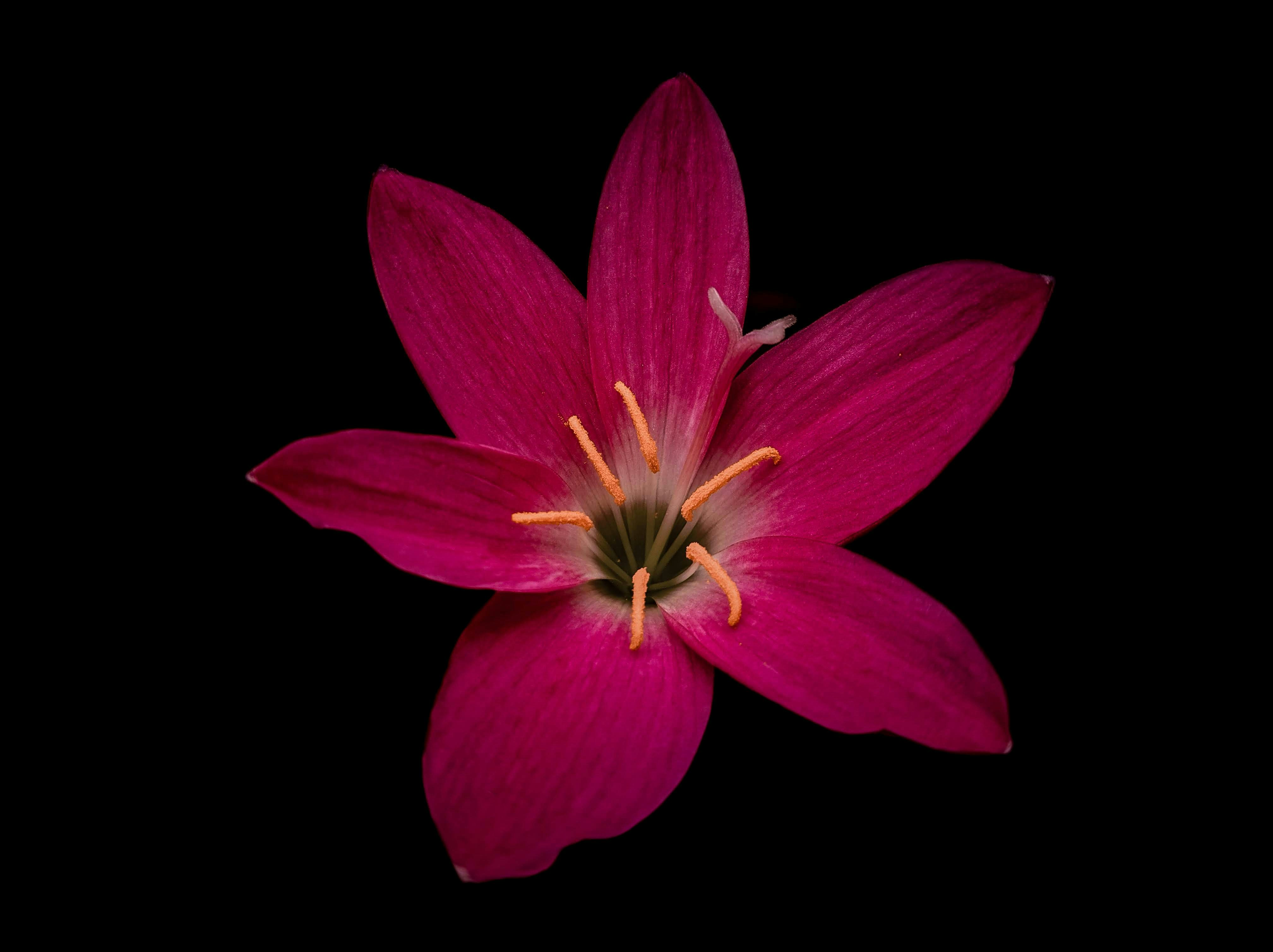 Photo by damnfotographer