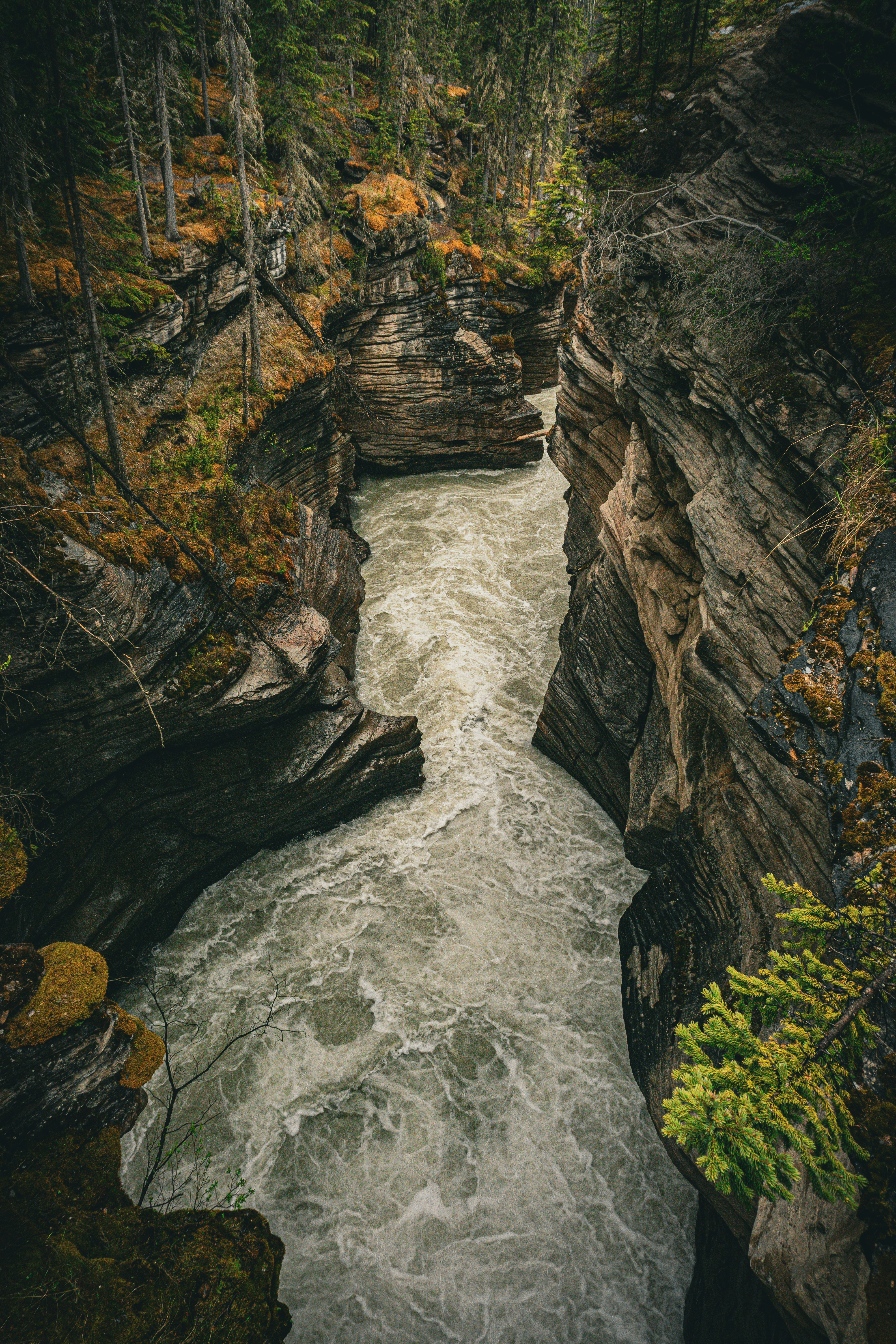 Photo by felix_metz03