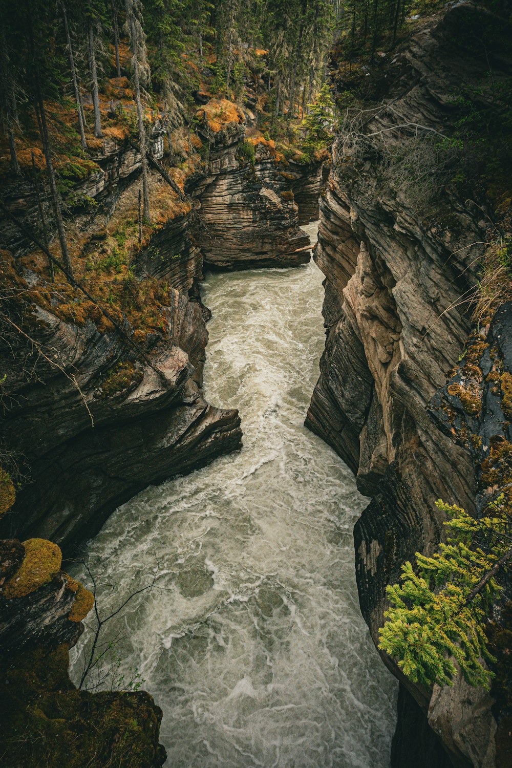 a waterfall in a forest