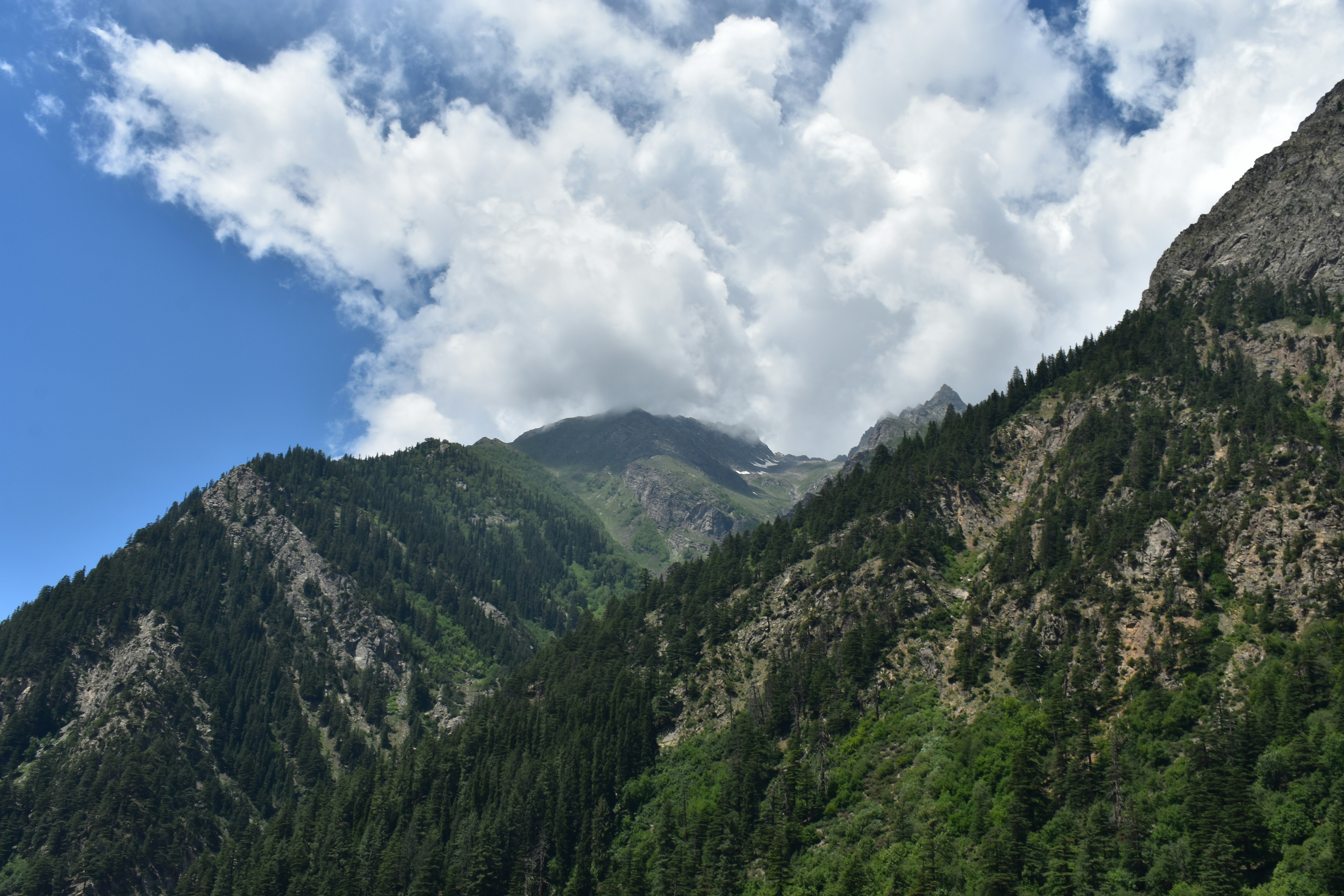 Mountain landscape in summer with green valleys