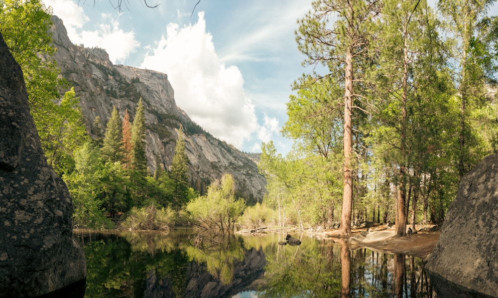 a lake surrounded by trees and mountains