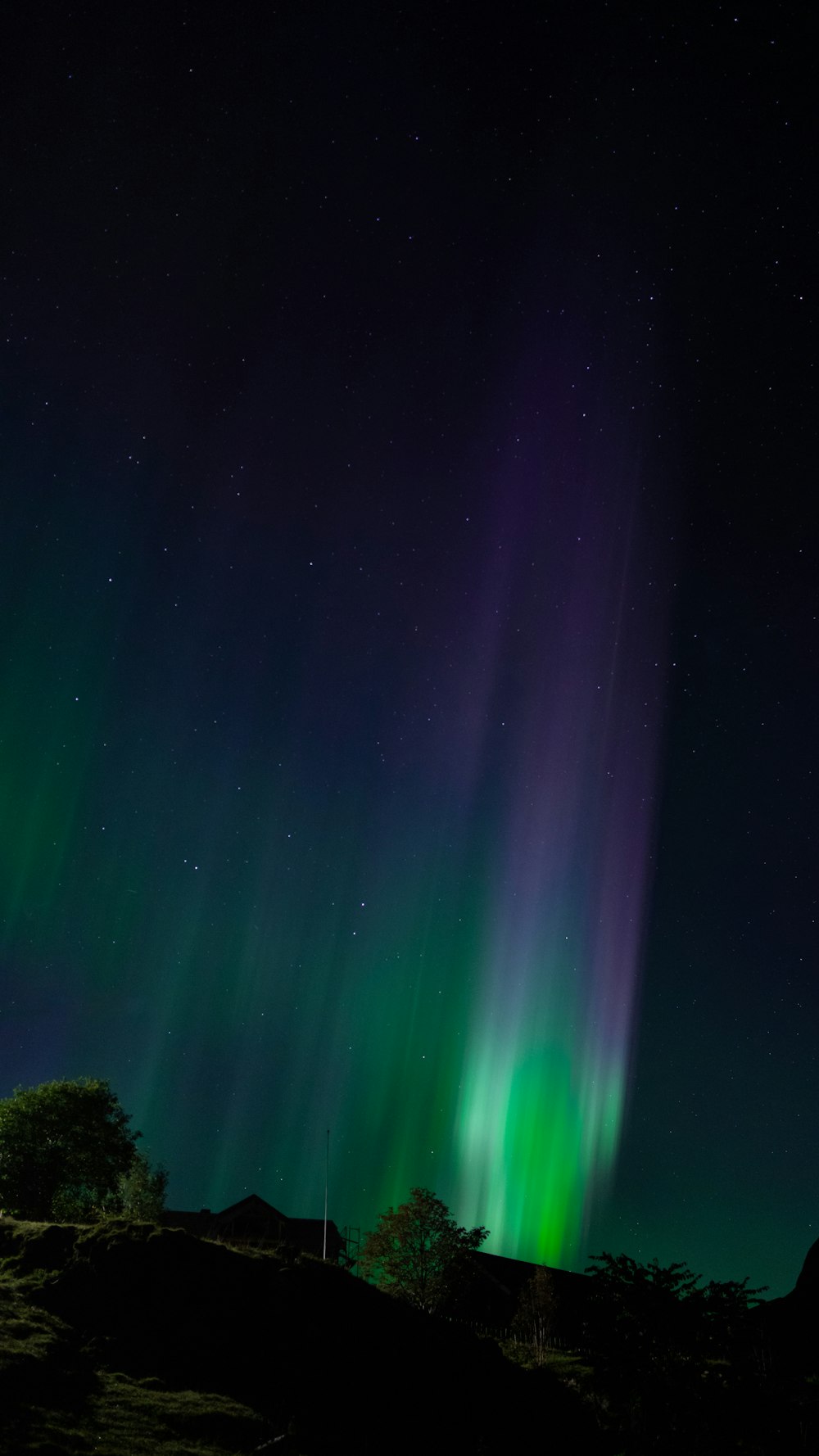 a green and purple aurora in the sky