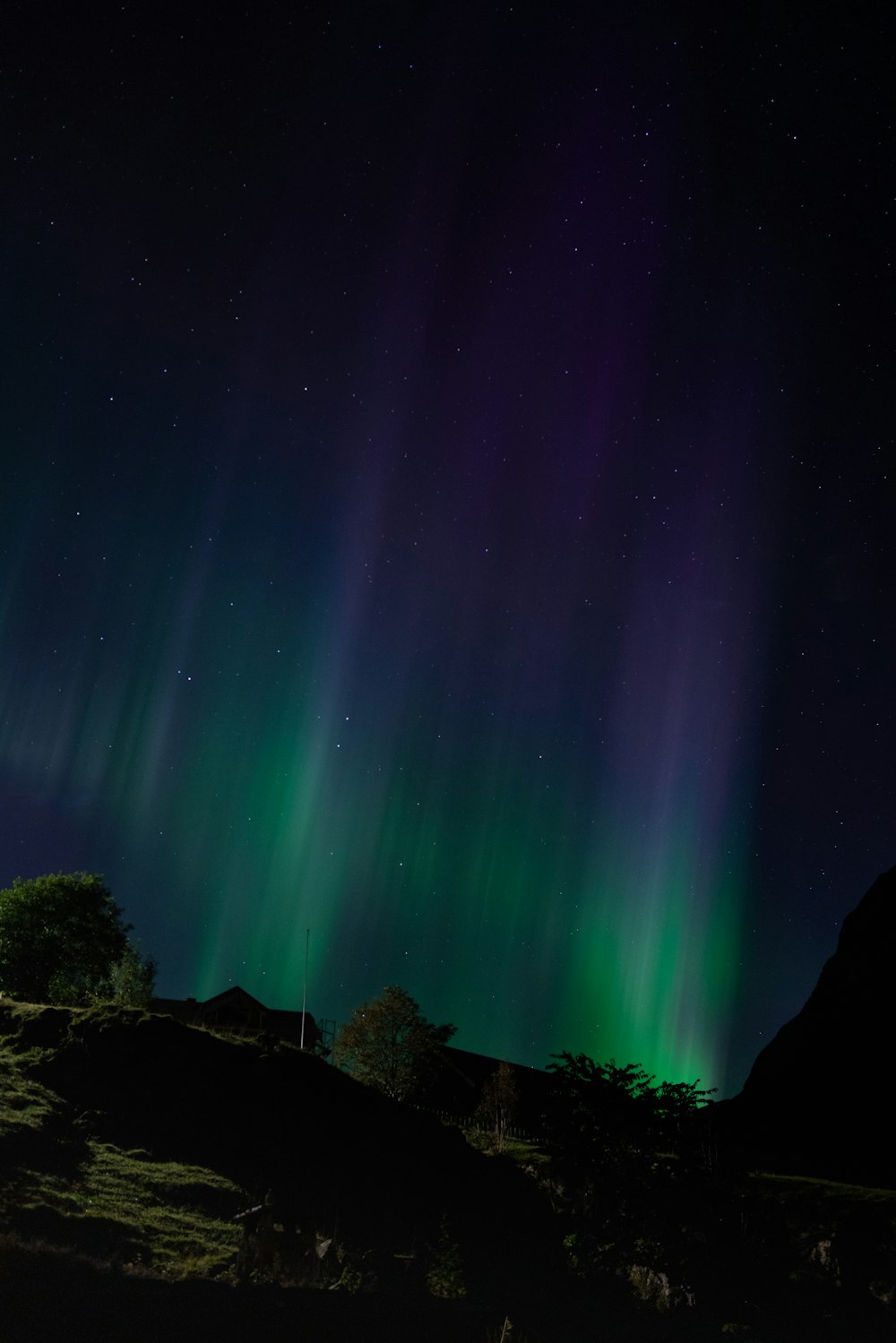 a green and purple aurora in the sky