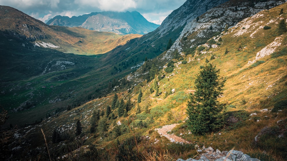 a valley in the mountains