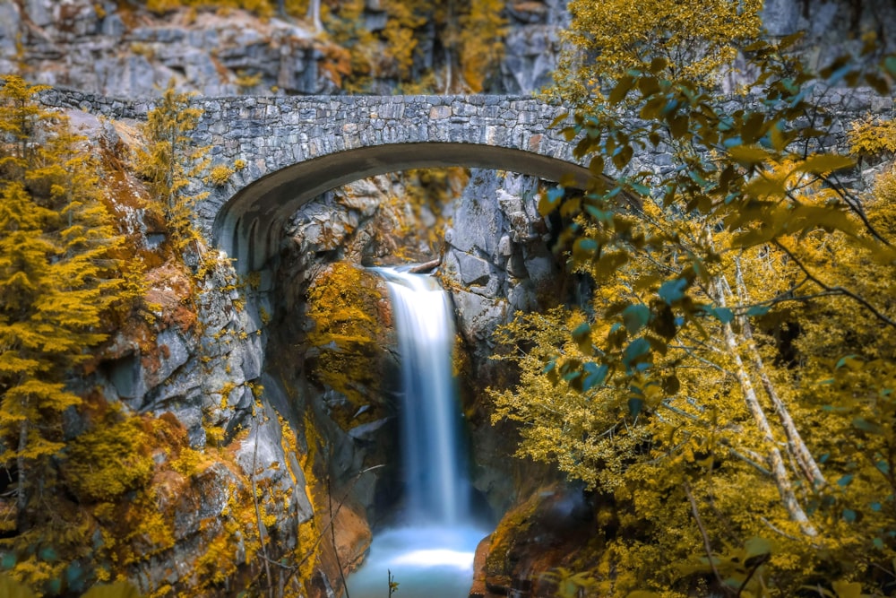 a water fountain in a park