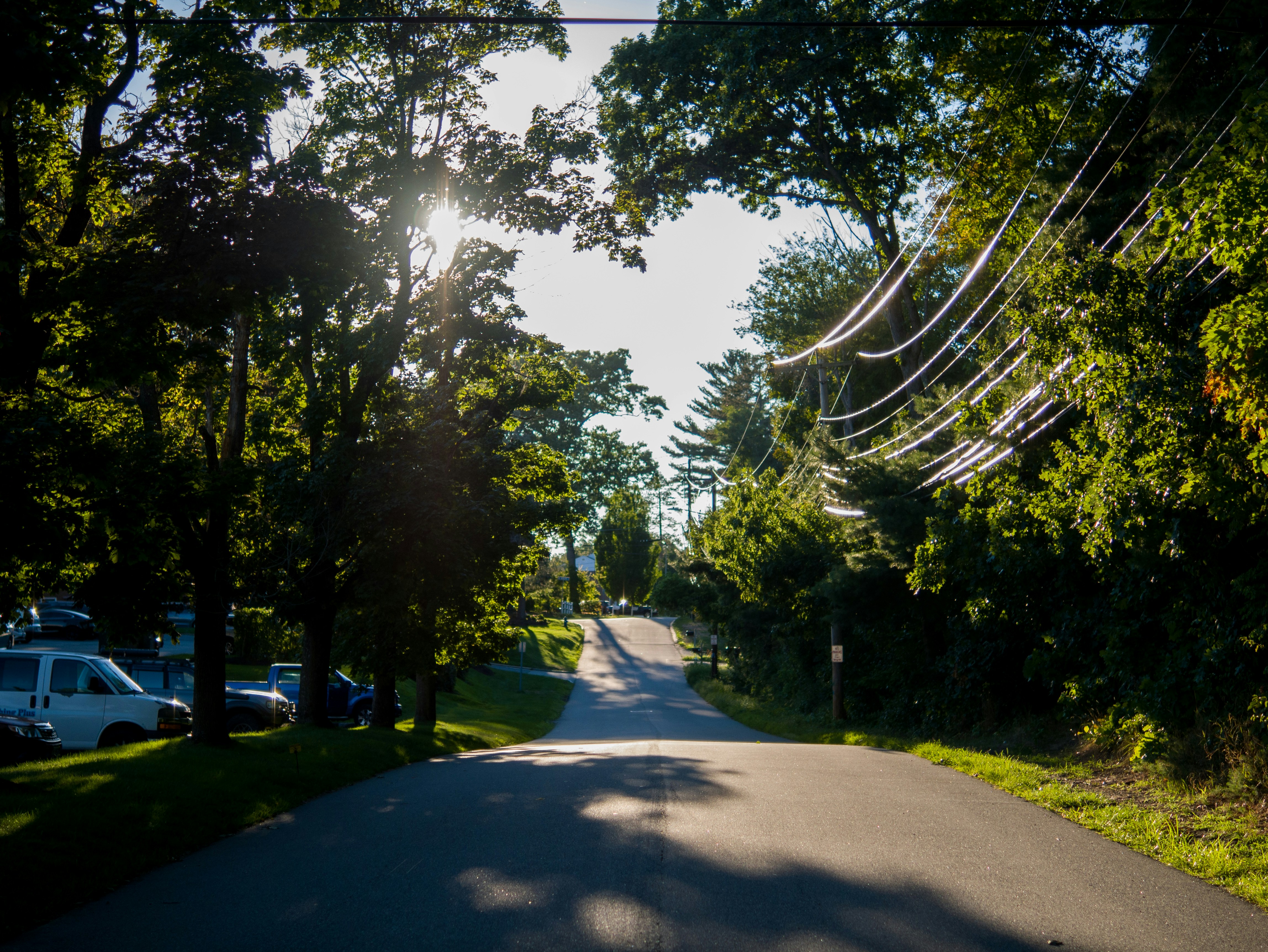 a road with trees on the side