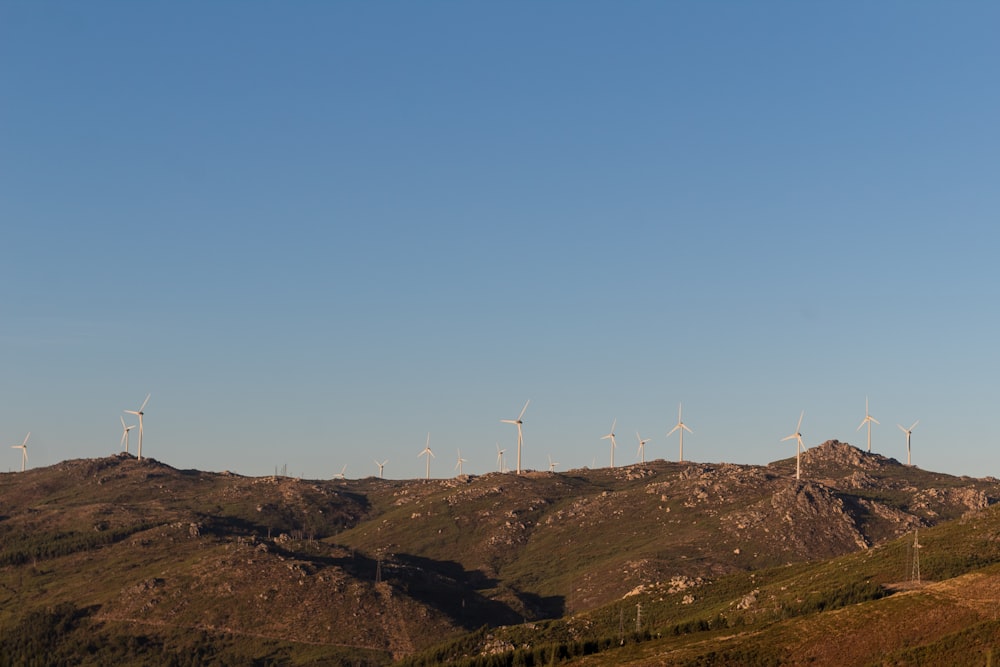 Eine Gruppe von Windkraftanlagen auf einem Hügel