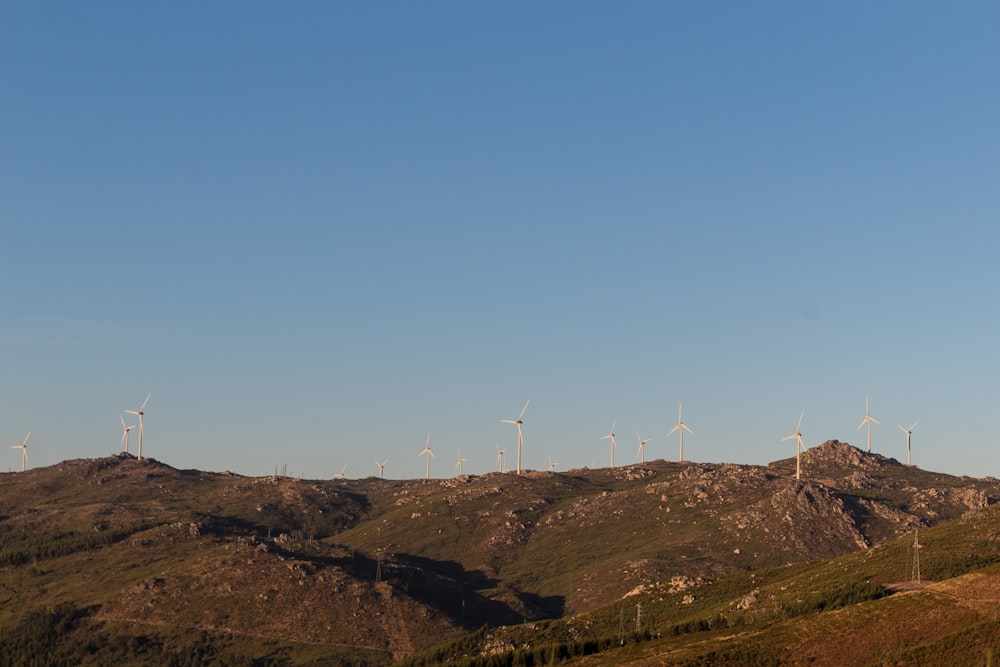 a group of wind turbines on a hill